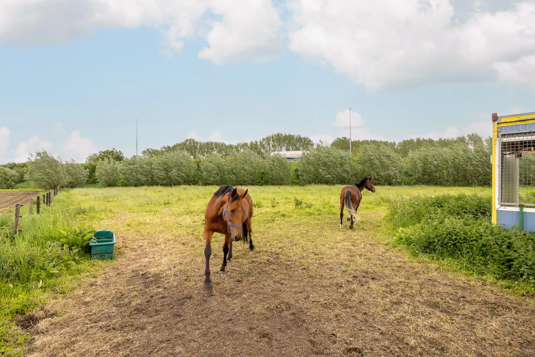 Villa met zwembad en paardenaccomodatie foto 27