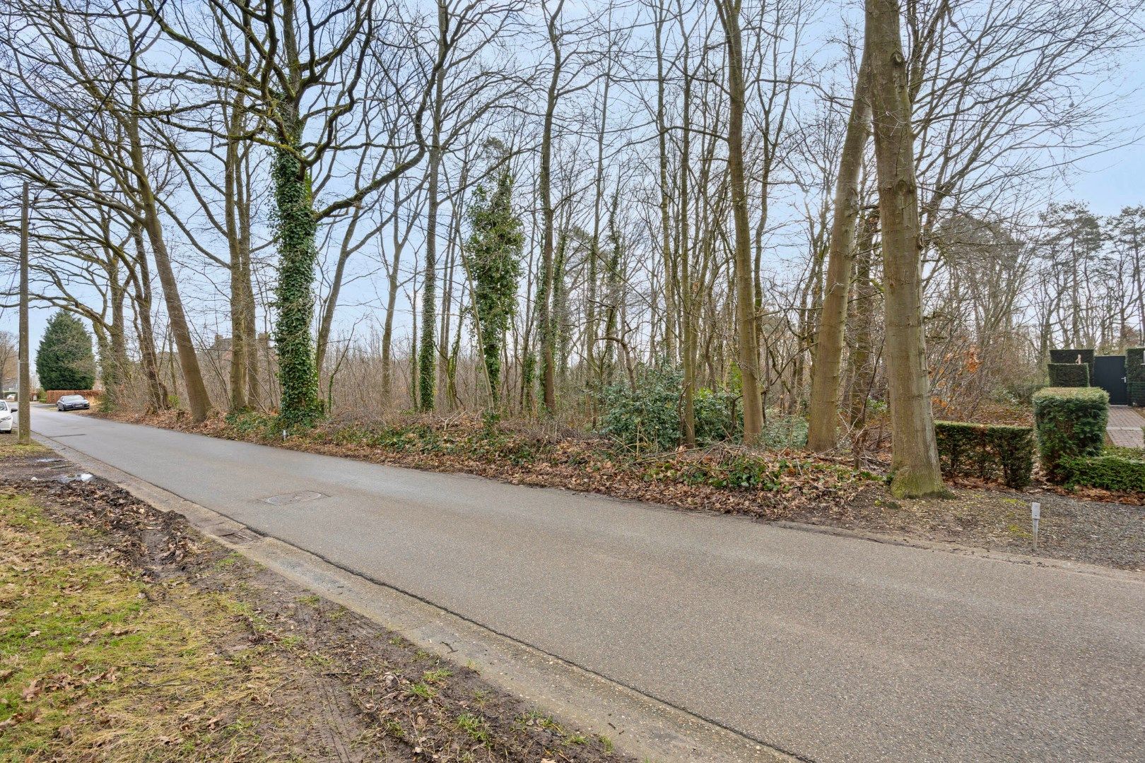 BOUWGROND VOOR OPEN BEBOUWING in de bosrijke villabuurt op de Bosstraat te Lanaken ! foto 3
