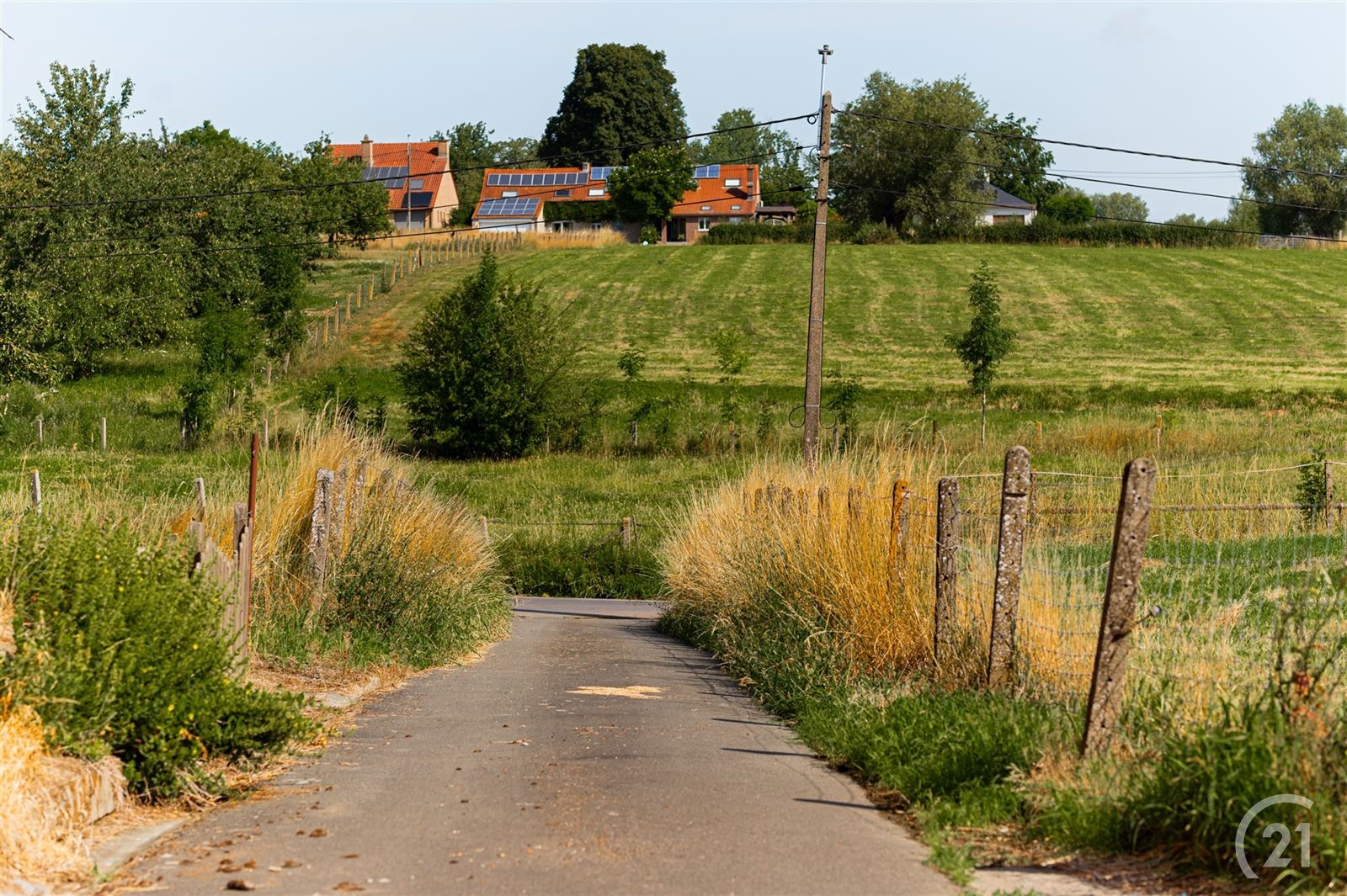 Te renoveren fermette met bijgebouwen en weide op 67are foto 4
