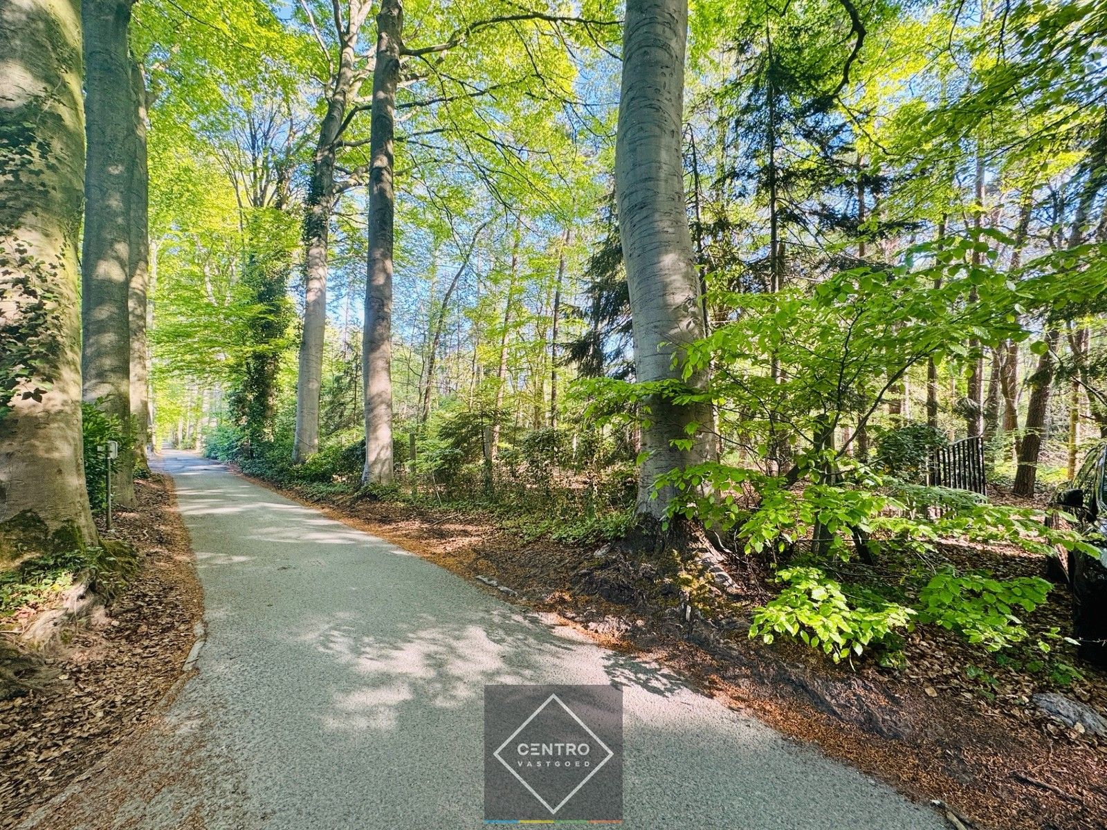 Exclusief (palend aan het Buskampveld!) perceel BOUWGROND (5.506m²) in het residentieel "WOONPARK" en BOS te Hertsberge (Oostkamp)! foto 2