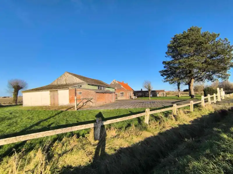 Hoeve met bijgebouwen foto 5