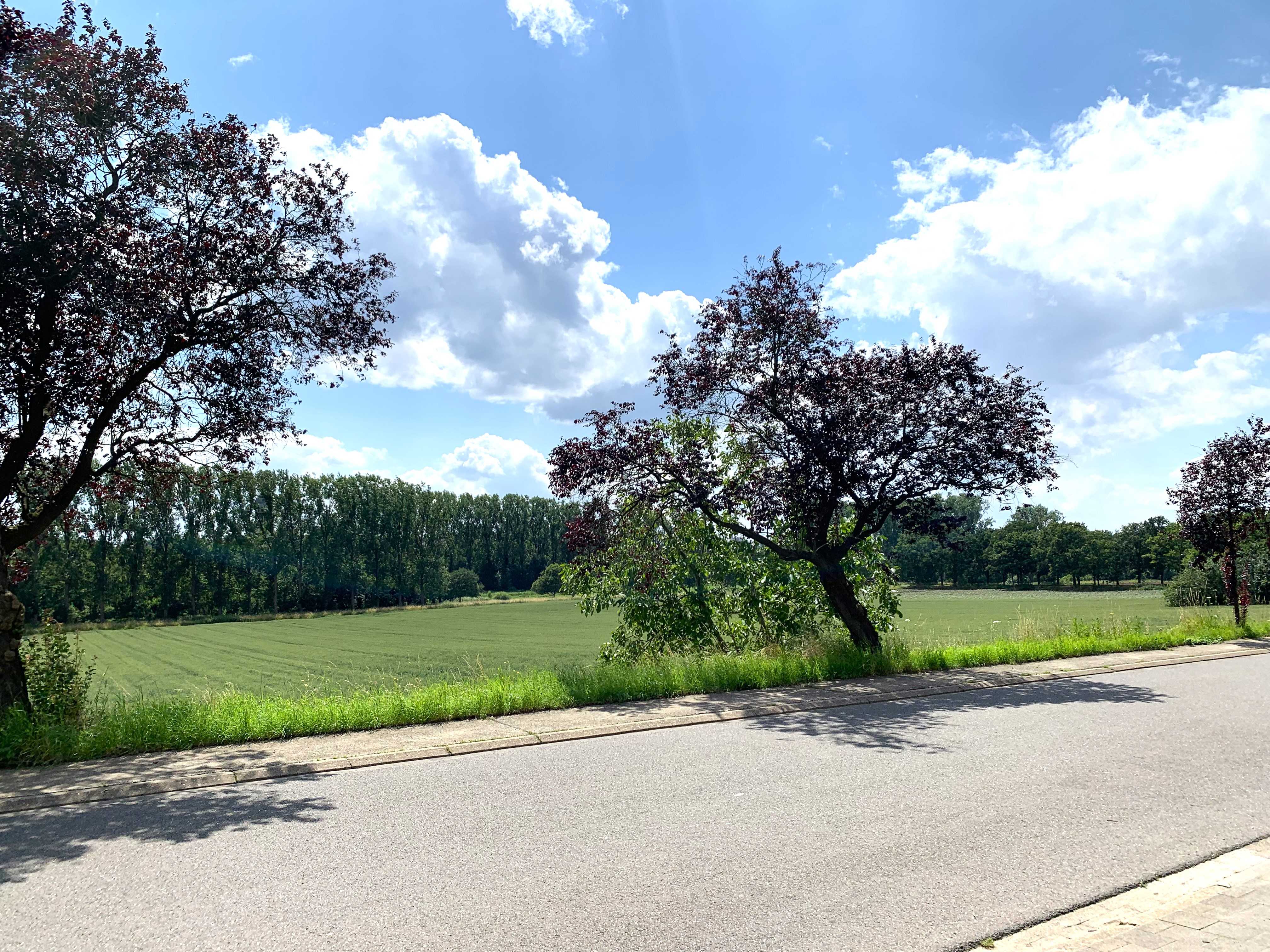 Prachtig gelegen bouwgrond op 17a 67ca foto 9