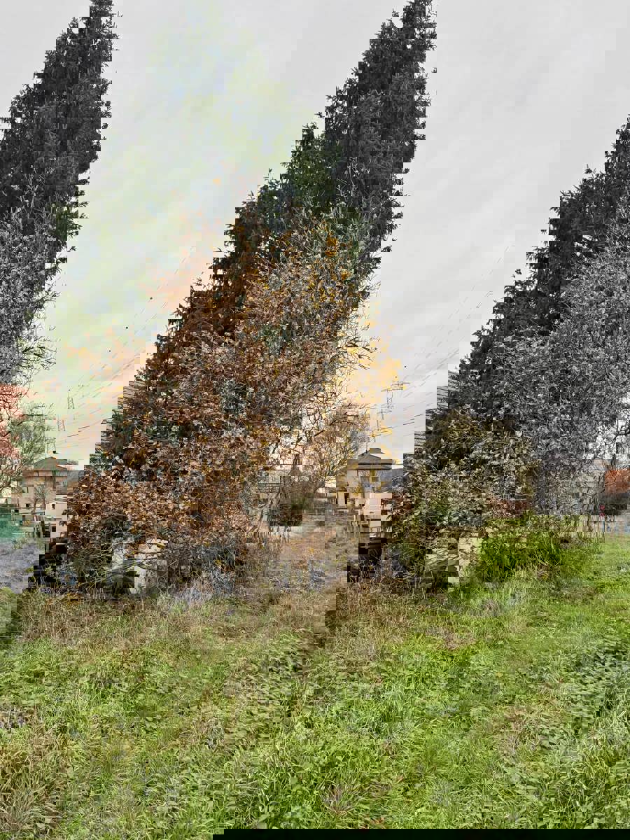 Bouwgrond voor open bebouwing met achterliggend weiland gelegen op uiterst rustige locatie te Olmen. foto 10