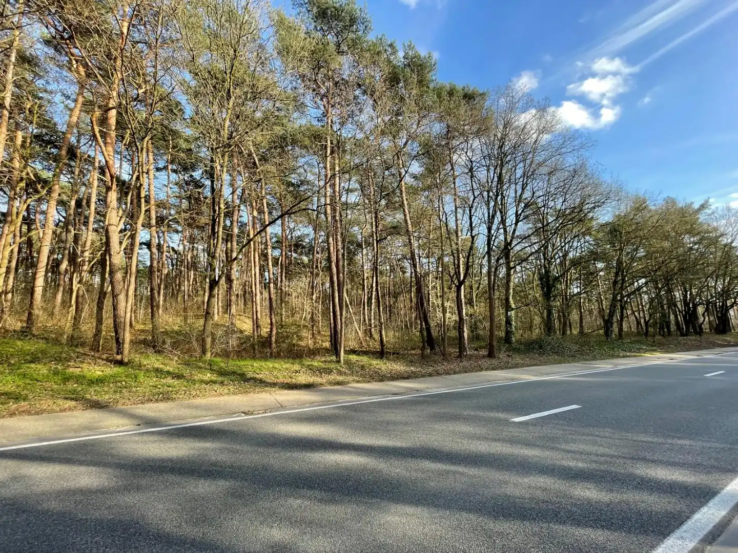 EXCLUSIEF PRIVÉ BOS VAN 2,7 HECTARE – MOL (DE ROOY) foto 6