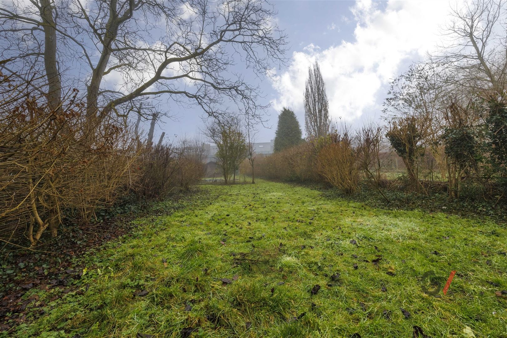 Charmante woning met ruime tuin foto 21