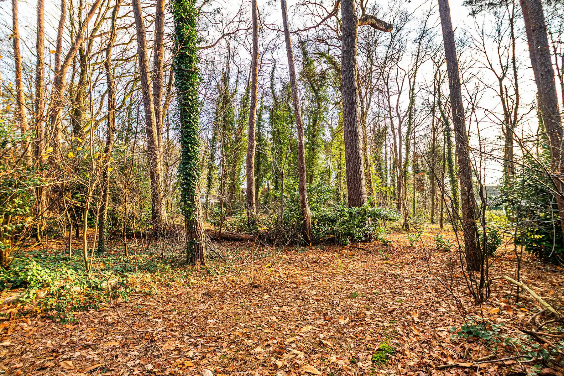 Exclusieve bouwgrond van 4.370 m² in “Golf & Meer”-domein foto 26