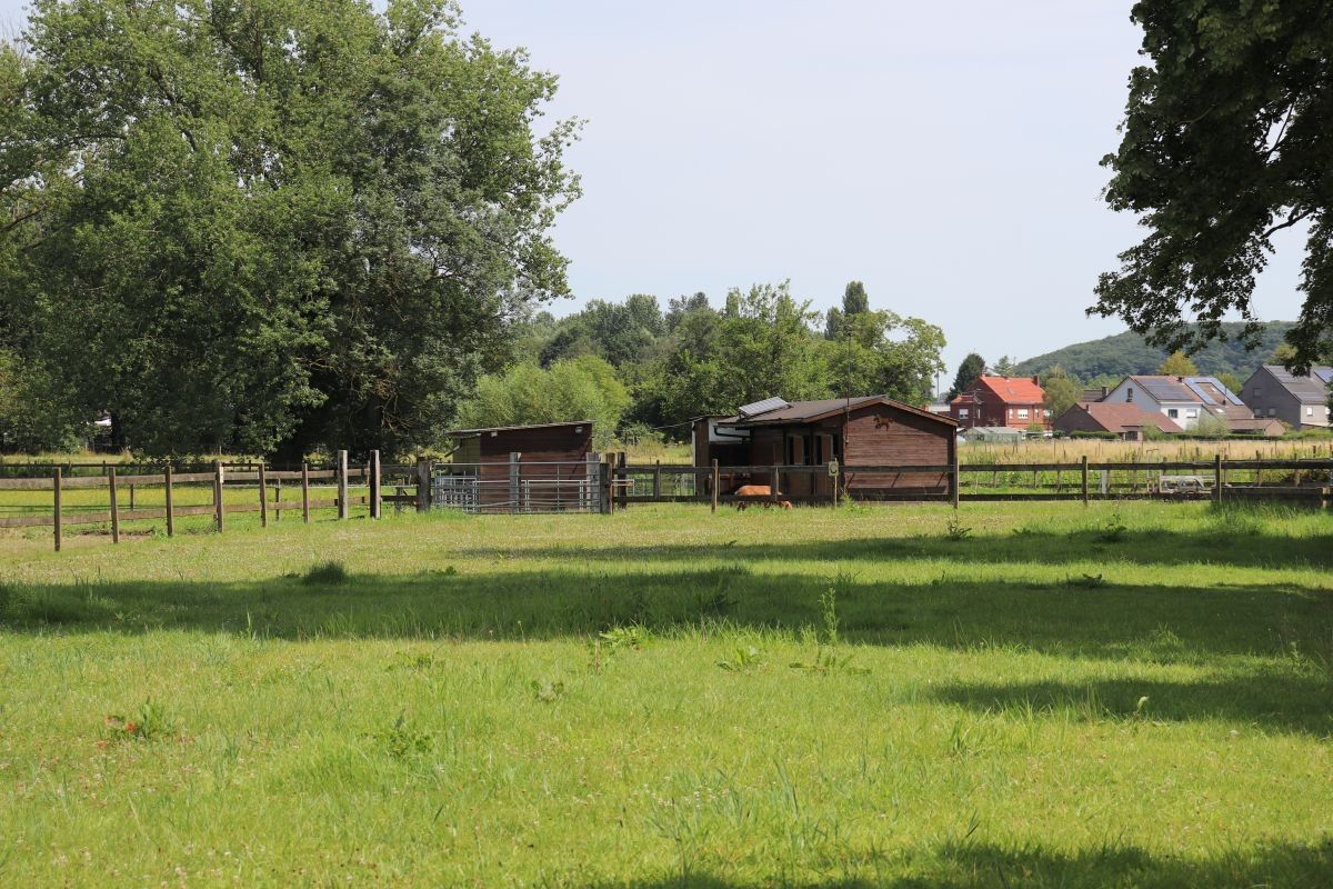 Omheinde weide met paardenstallen te koop te Rotselaar foto 2