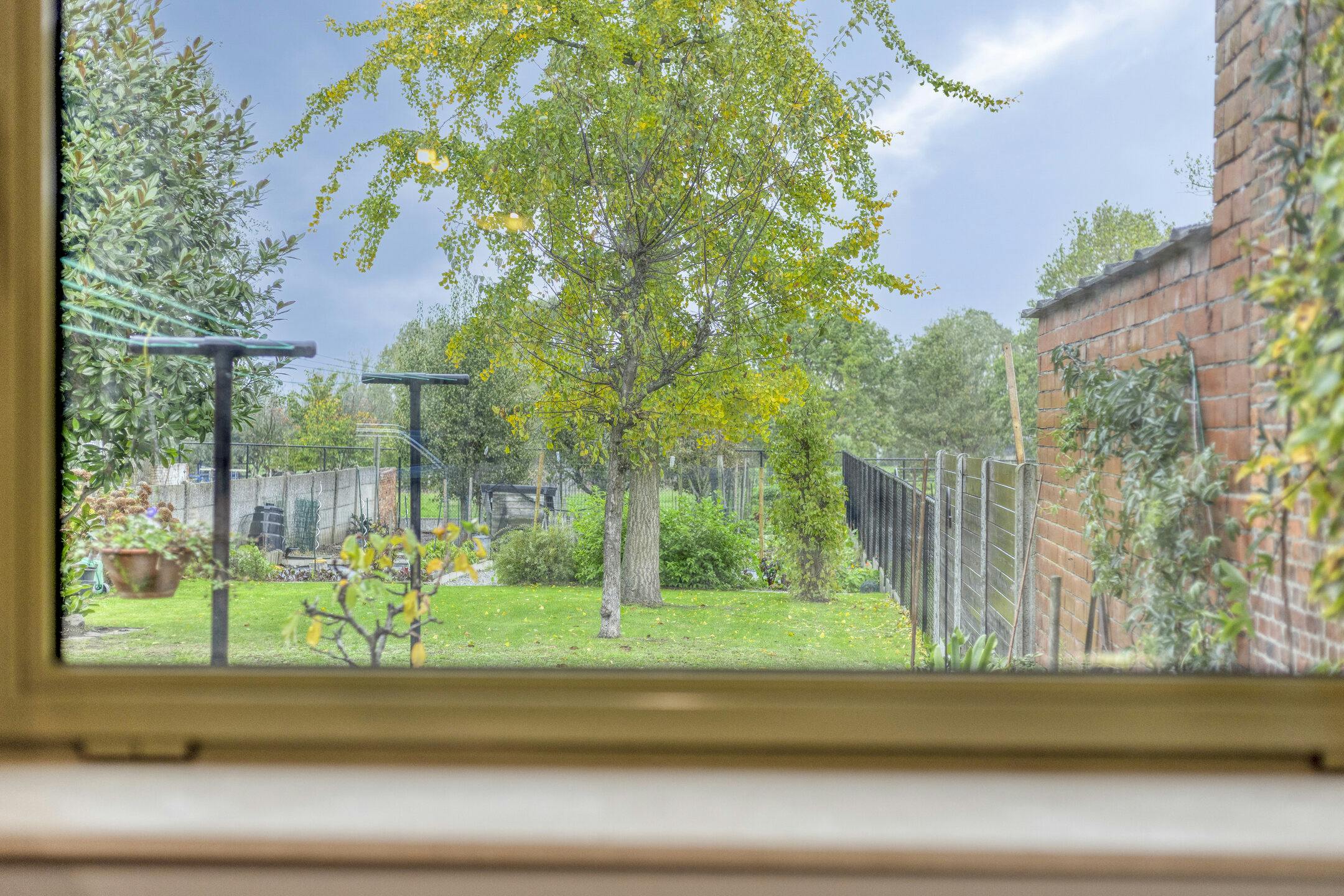 Ruim huis met 5/6 slaapkamers, garage en tuin in Boom foto 11