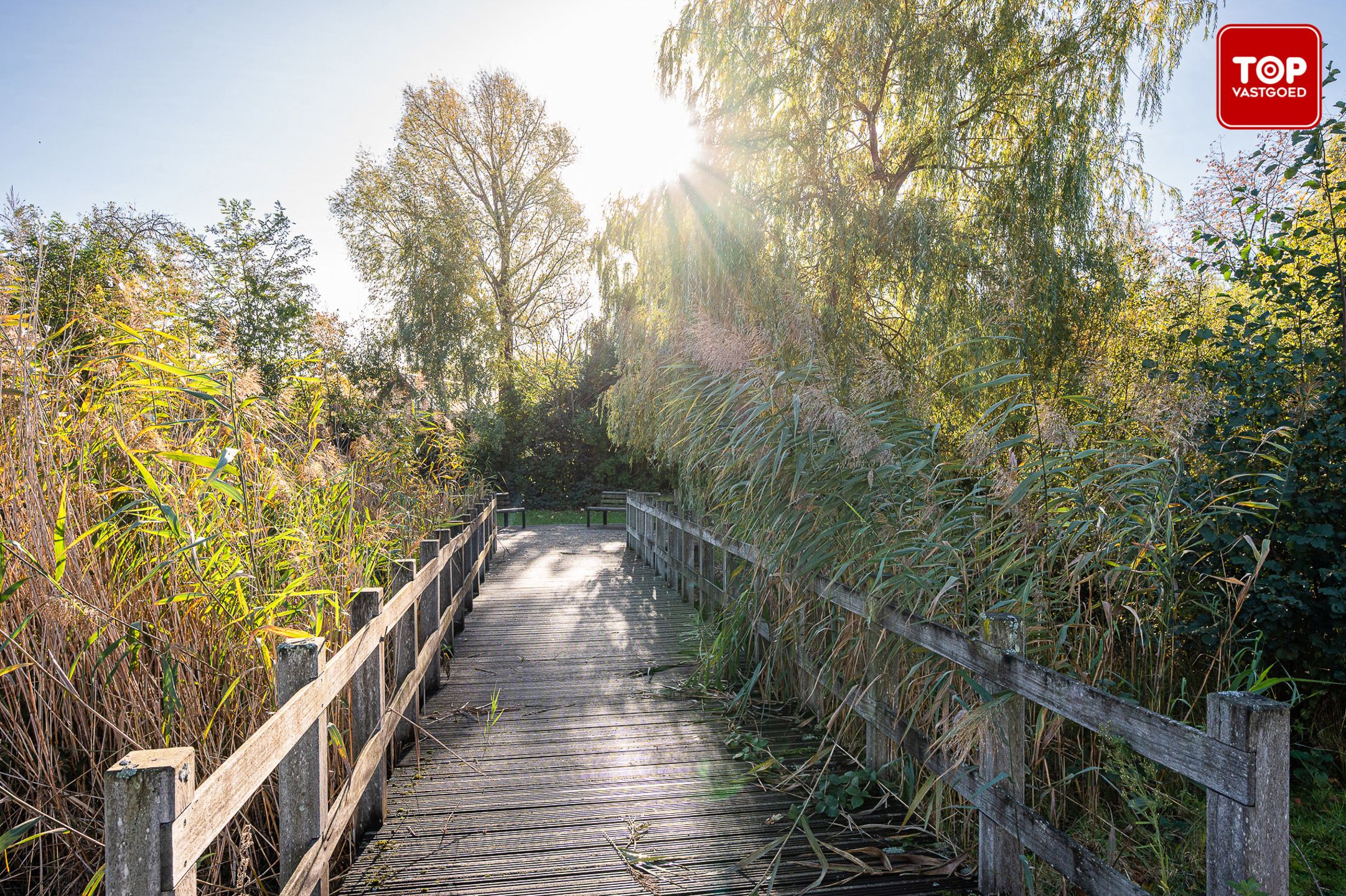 Energiezuinige woning met 3 slaapkamers en prachtige tuin foto 27