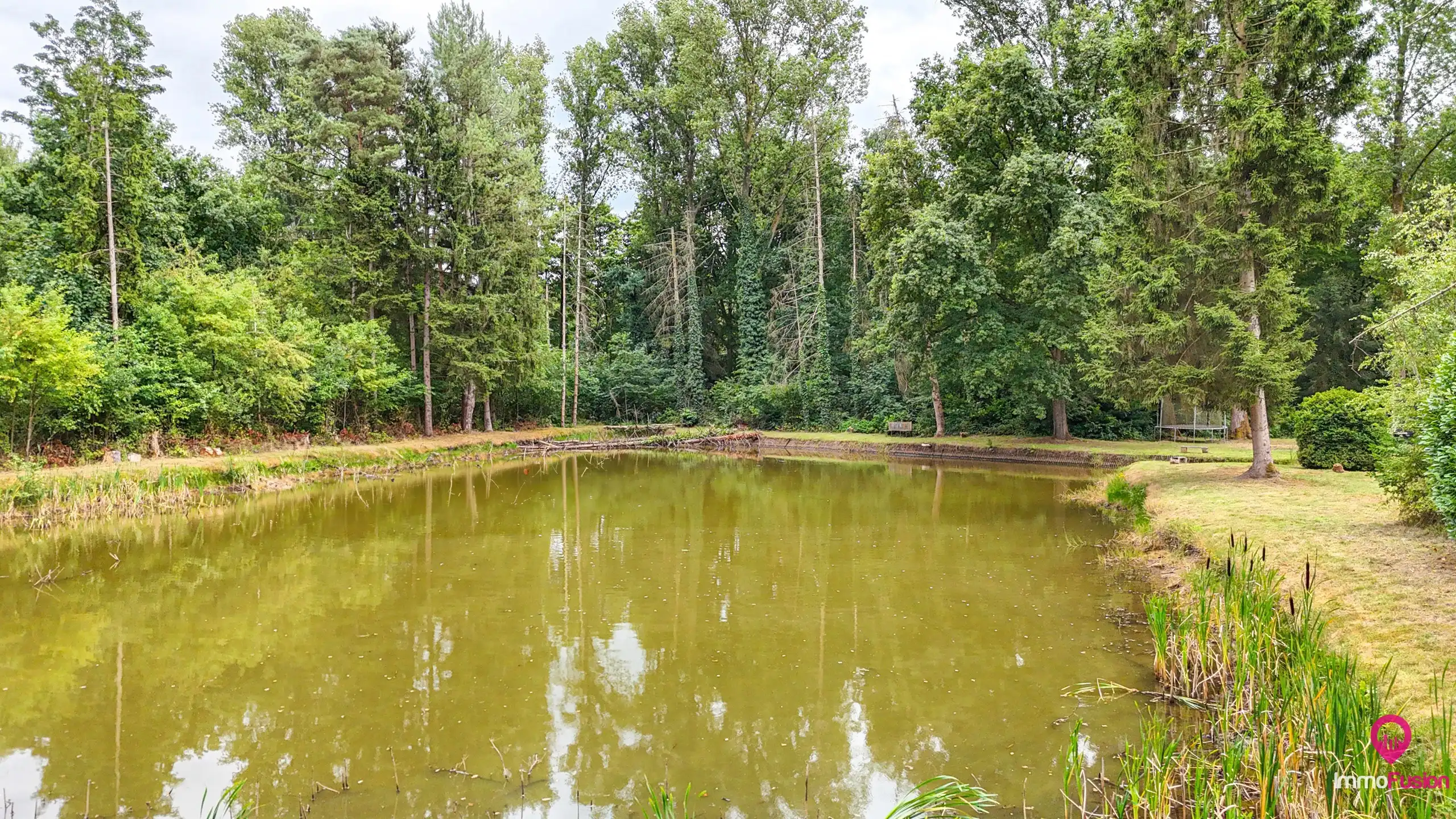 Droom buitenverblijf in Hasselt voor natuurliefhebbers!  foto 21