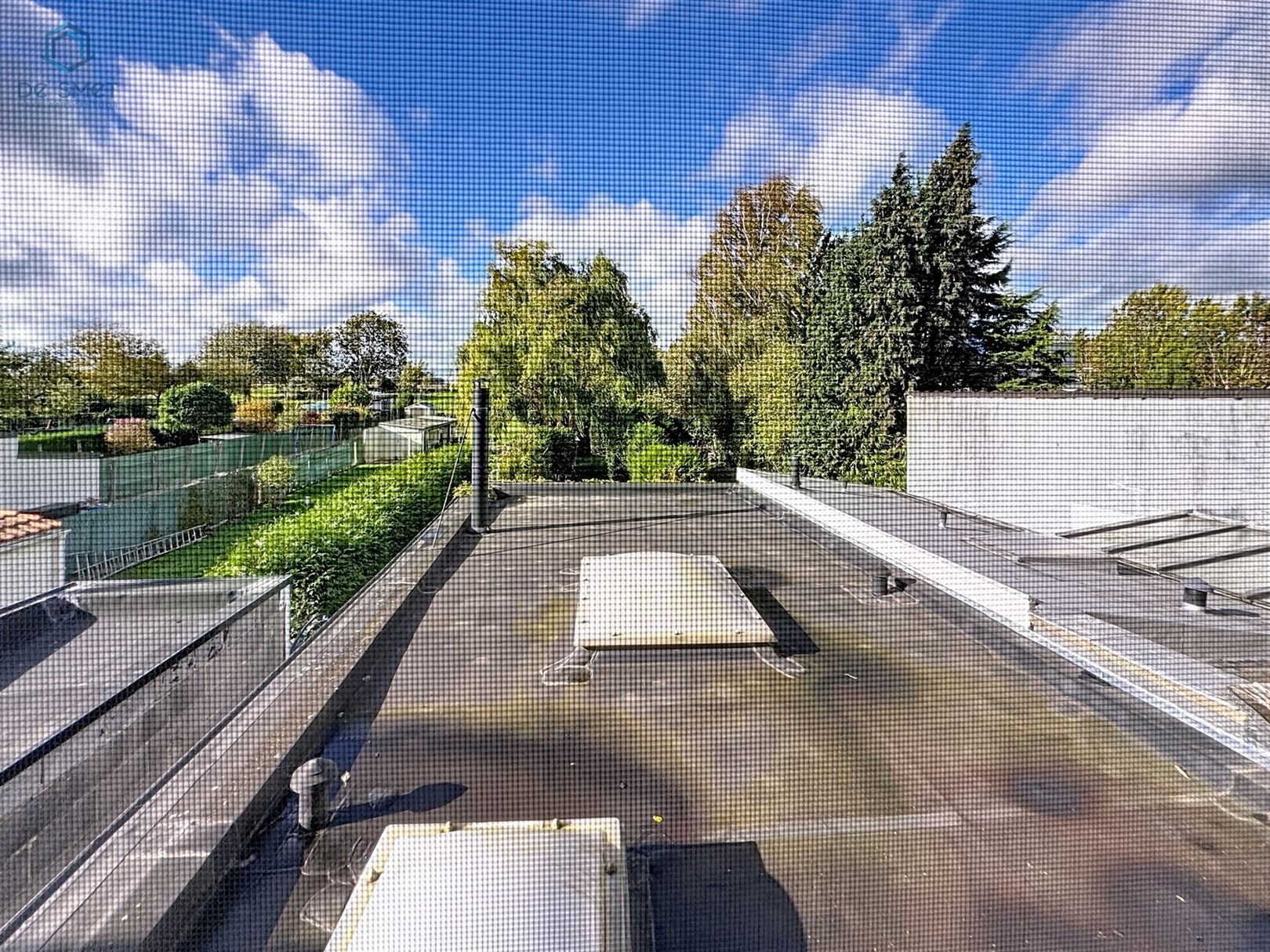 Charmante, energiezuinige woning met grote tuin nabij centrum Geraardsbergen foto 18