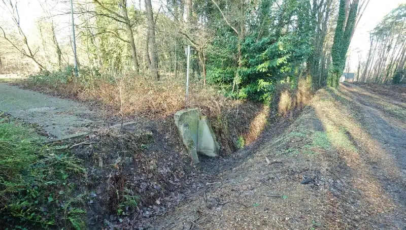 Residentieel gelegen bouwgrond van 31 are met 37 are bosgrond nabij golf- en meerdomein foto 10