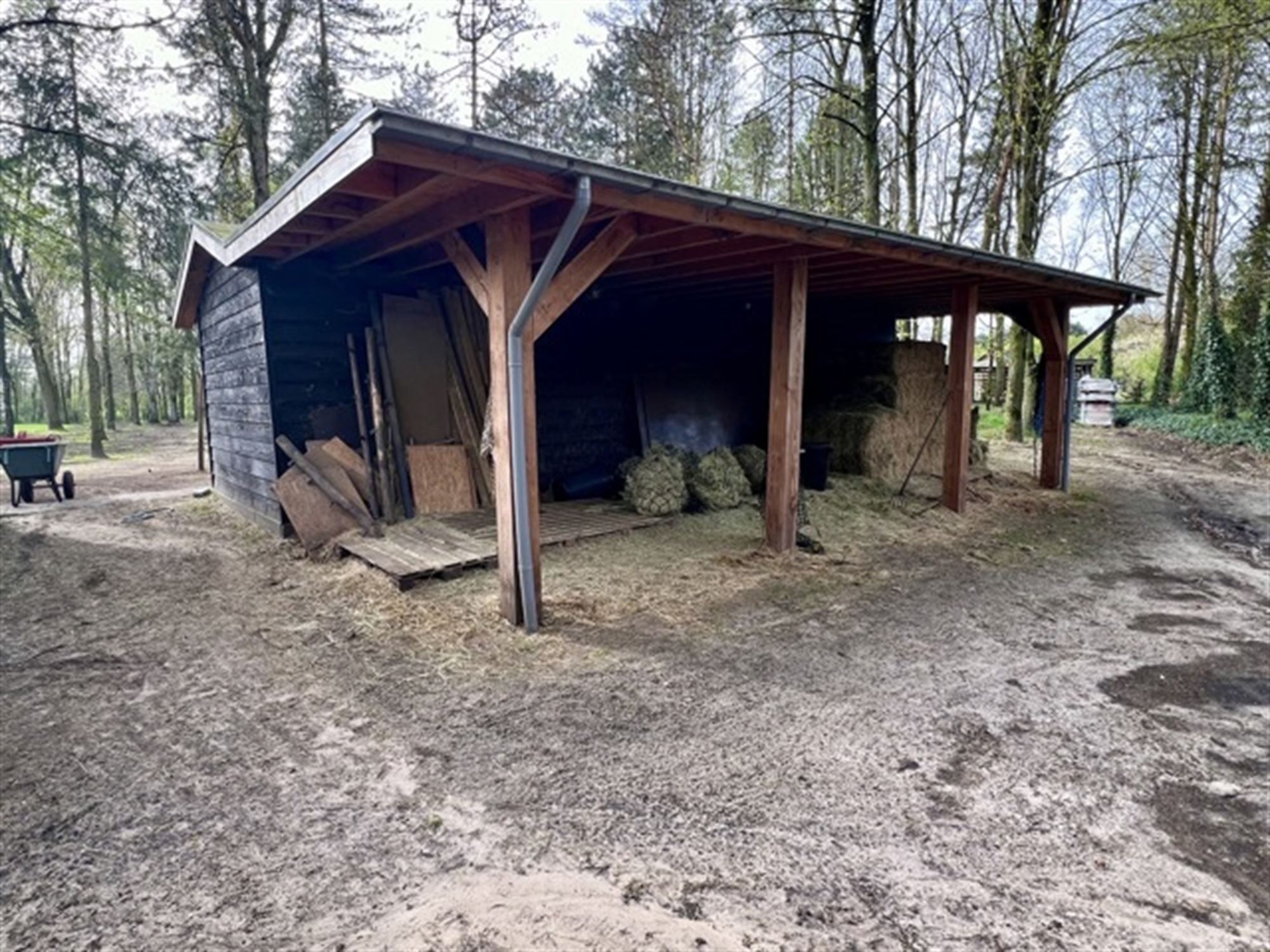 Gerenoveerd enorm landhuis op ongeveer 3 ha foto 42