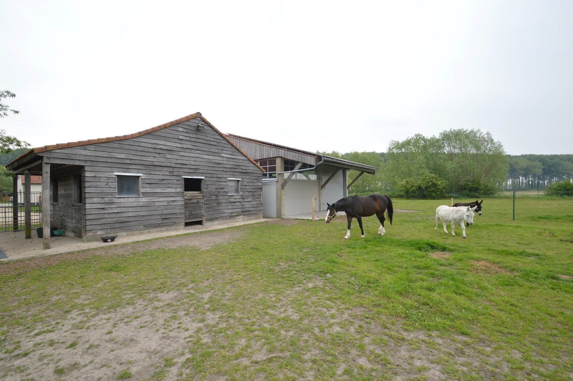 Rustig gelegen hoeve: een buitenkans voor paardenliefhebbers foto 12