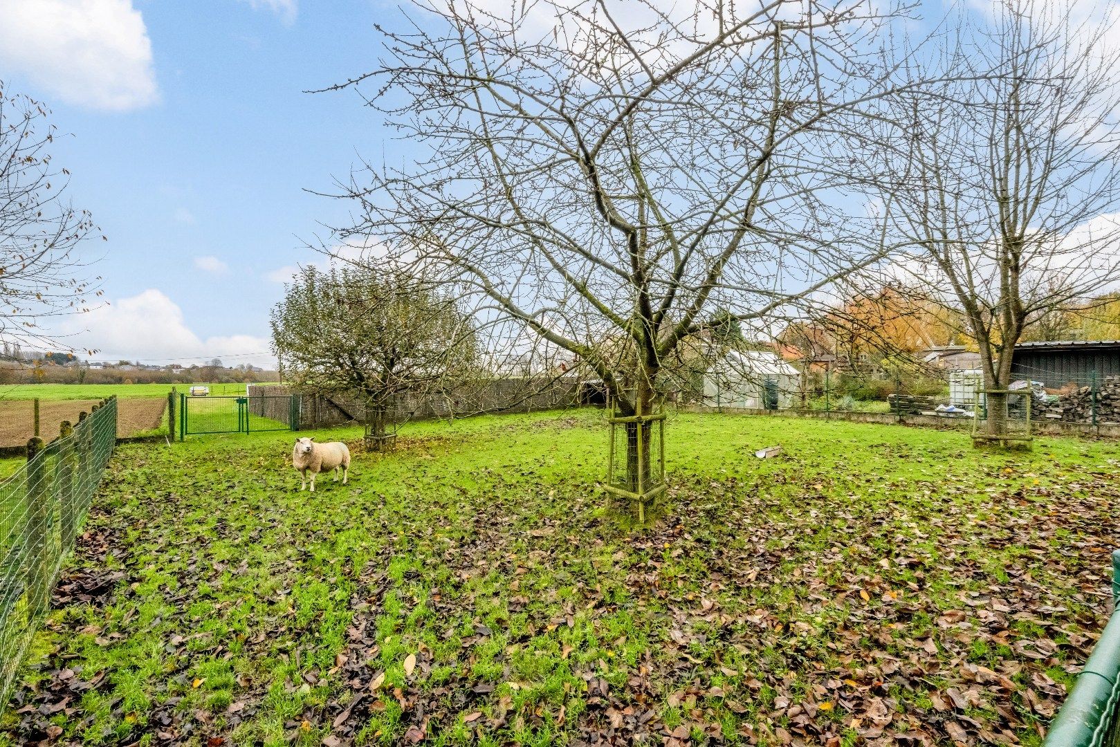 Gezellige, lichtrijke woning met vele extra's ! foto 24