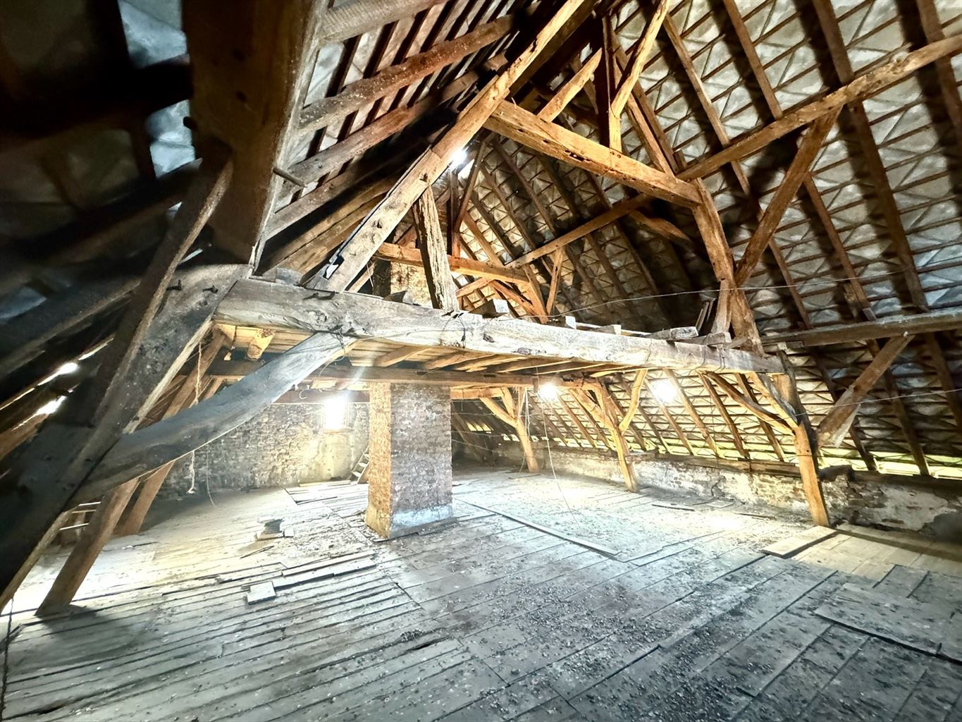 Unieke historische stadshoeve in Maasstijl gelegen "in den hoek" op de Pelserstraat, in het centrum van Maaseik.  foto 20