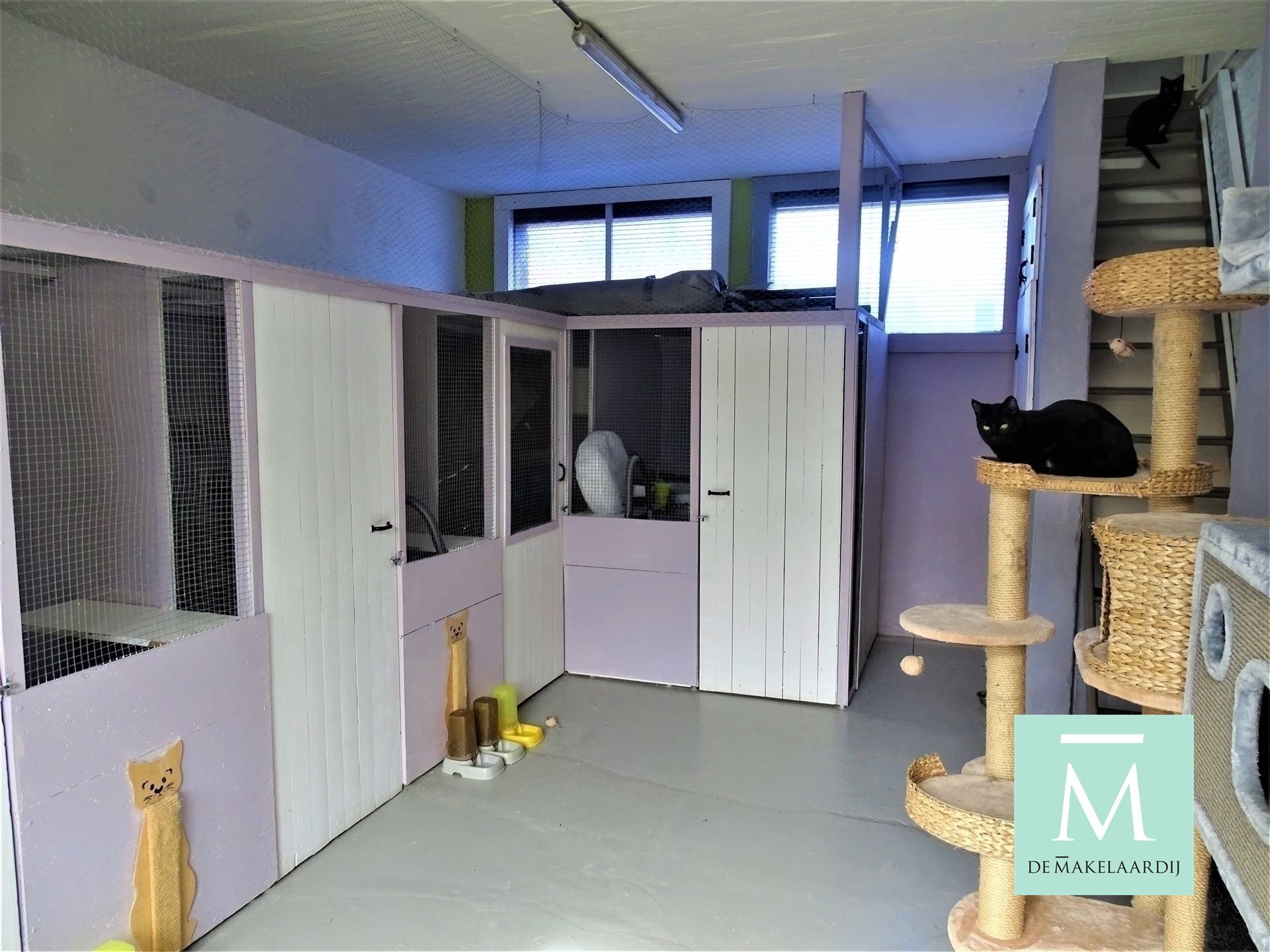 Op te frissen starterswoning en achterbouw (met mogelijkheid tot inichten van bijkomende slaapkamers/bureau-hobbyruimte...) foto 12