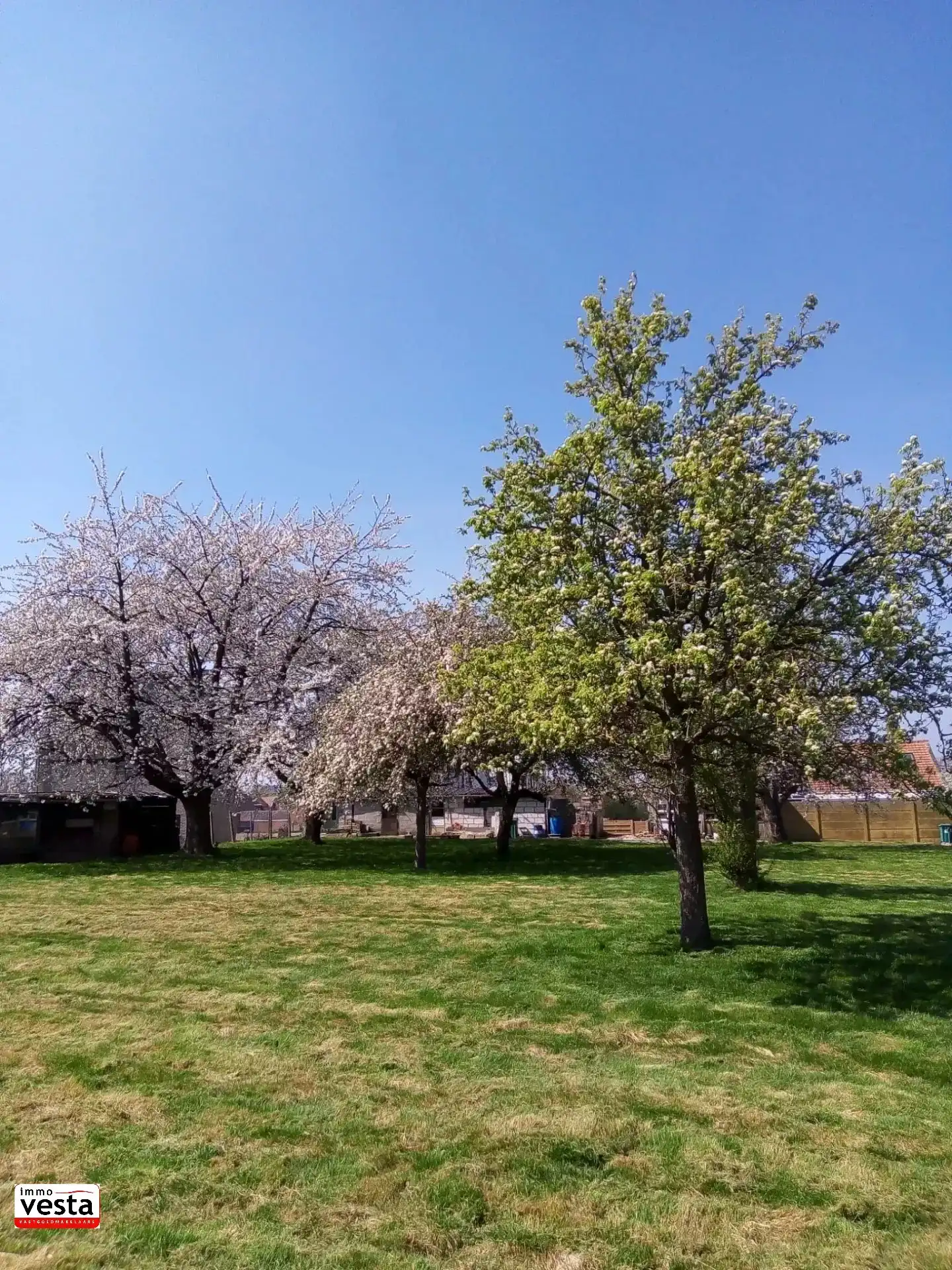 Huis te koop foto 36