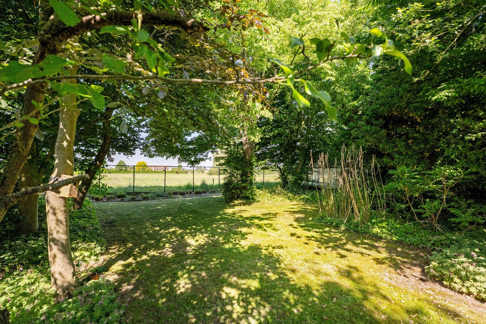 VERRASSEND RUIME ALLEENSTAANDE WONING OP 1.298 m² foto 23