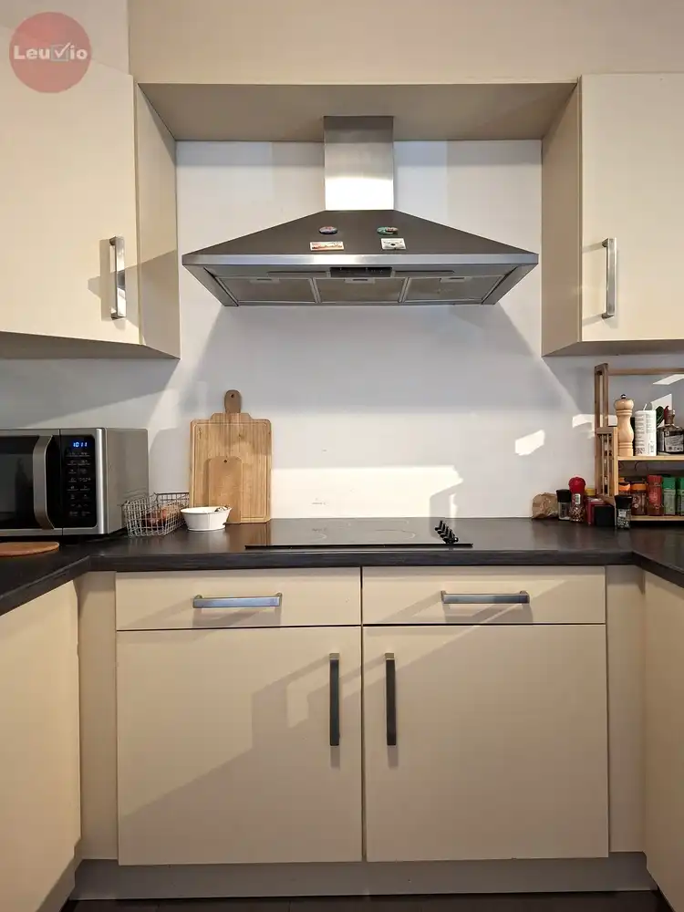Ruim gelijkvloers appartement / 2 slpkms / autostaanplaats /tuintje in stadsrand foto 10