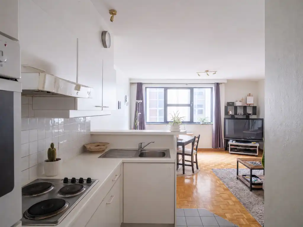 Instapklaar 1-slaapkamerappartement nabij het Zuid foto 3