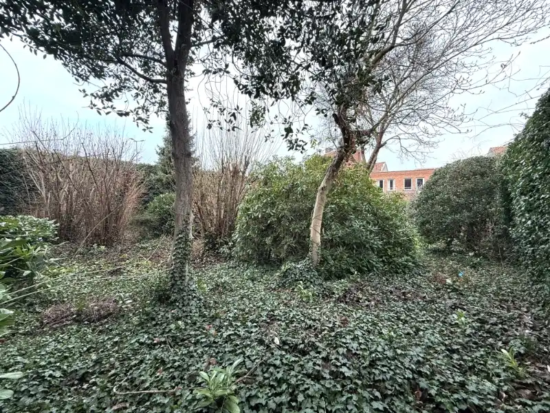 Zeer ruime karaktervolle voormalige dokterswoning met prachtige tuin in het centrum foto 27