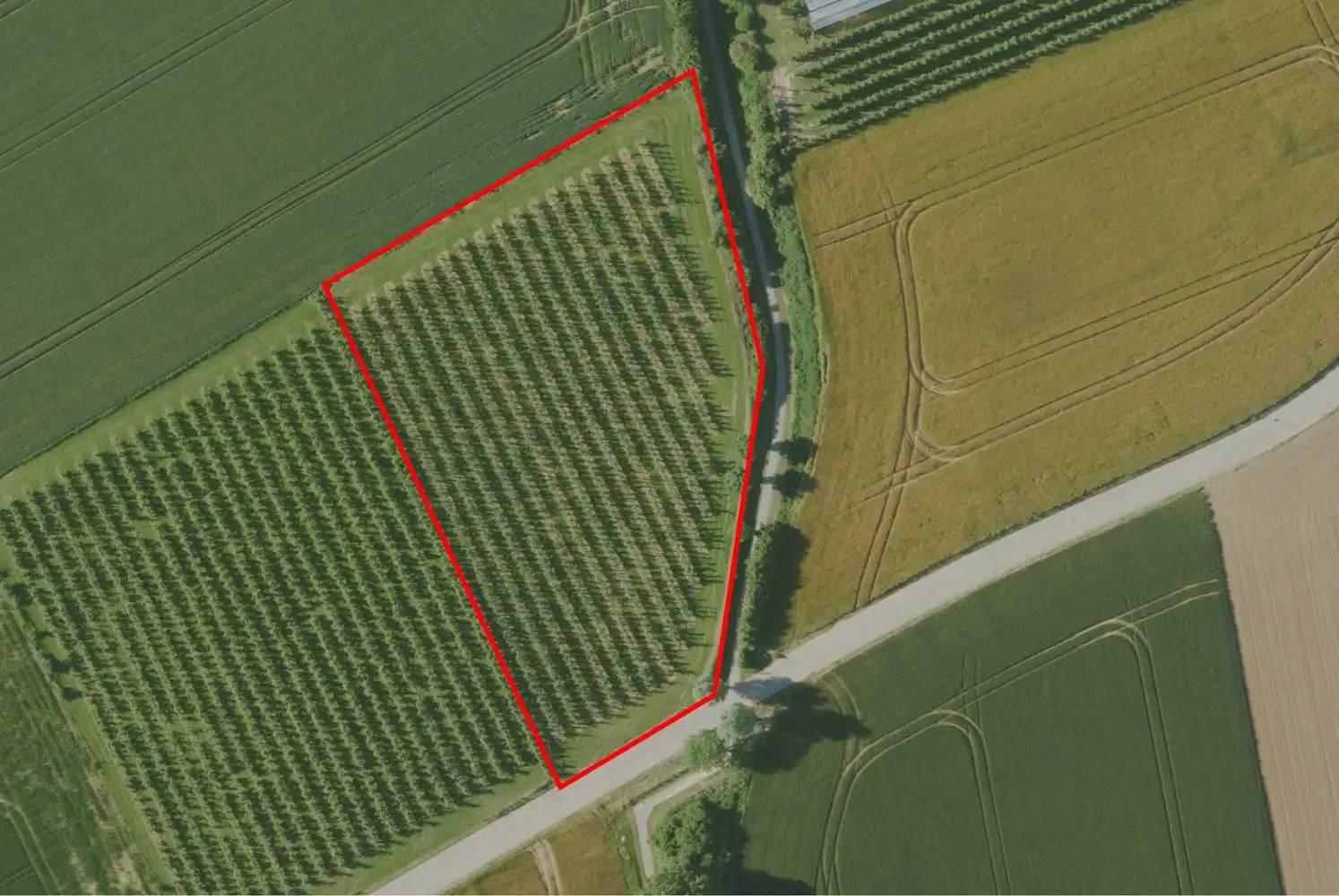 Landbouwgrond van 57a 95ca te Gelinden foto {{pictureIndex}}