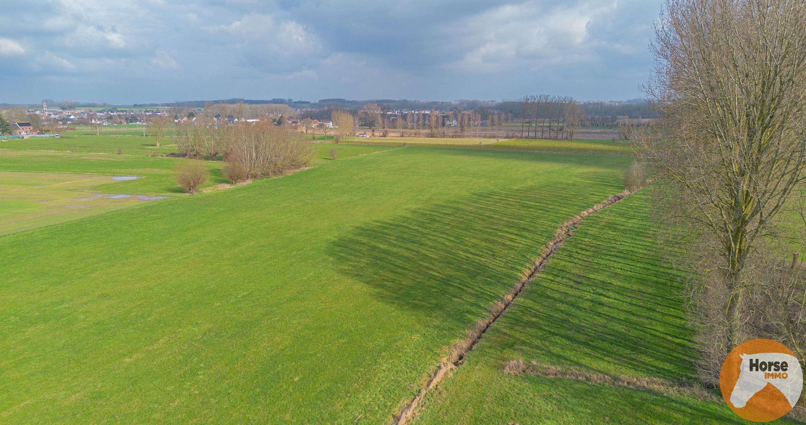 HILLEGEM – Landbouwgronden te koop foto 3
