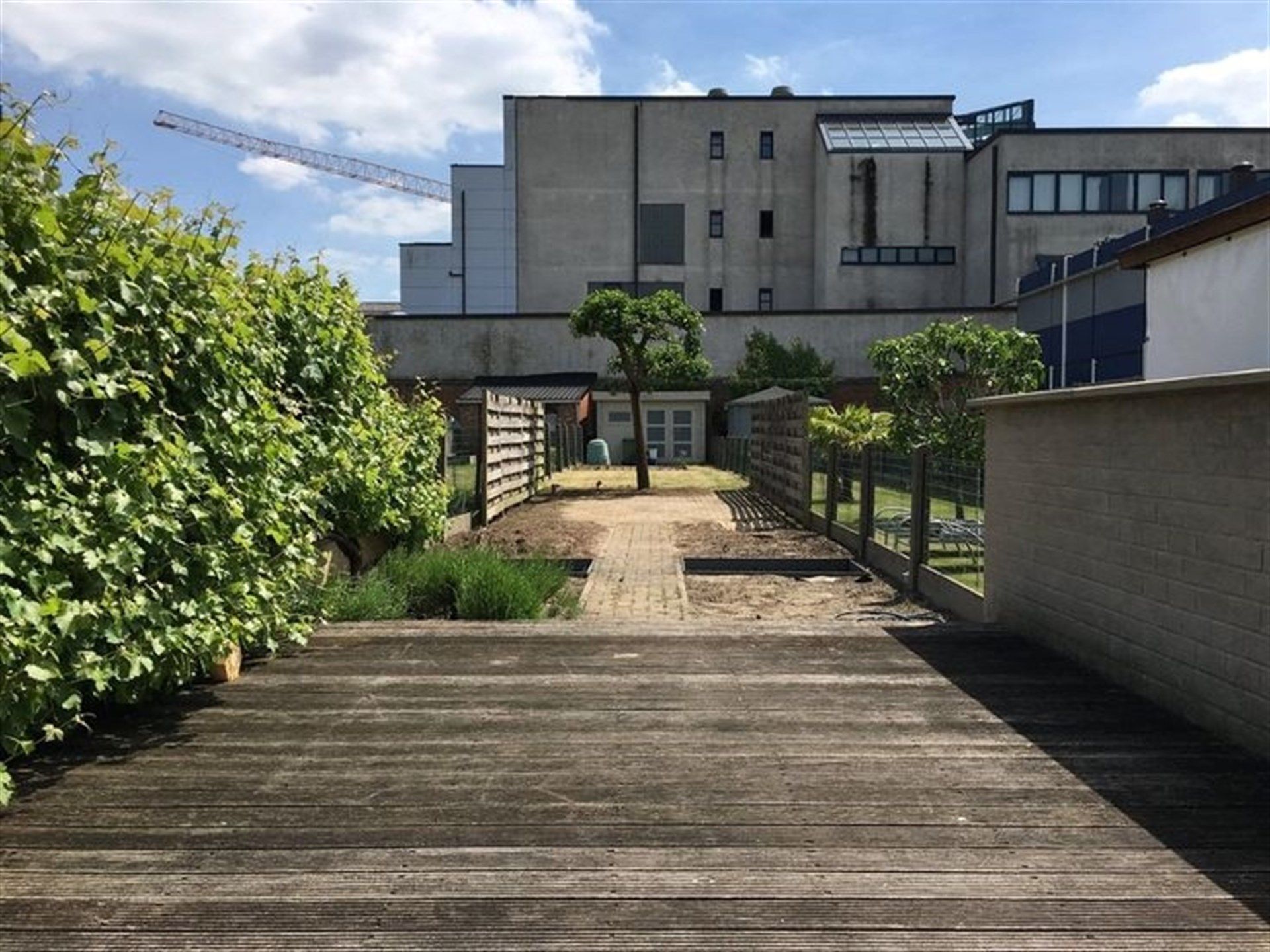instapklare lichtrijke stadswoning met tuin foto 21