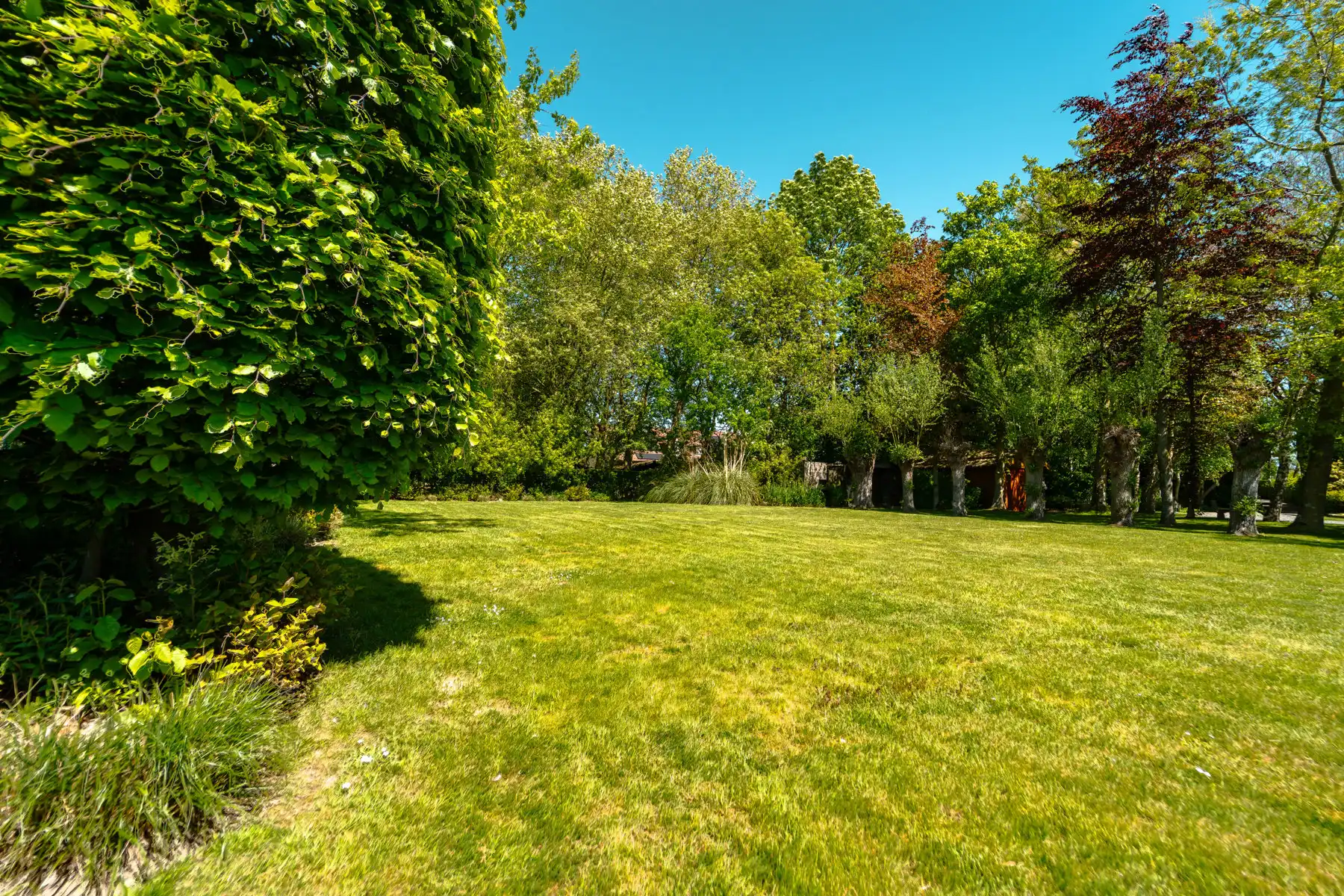 Exclusieve eigendom op ±3.300 m²: wonen op een privé-eiland foto 15