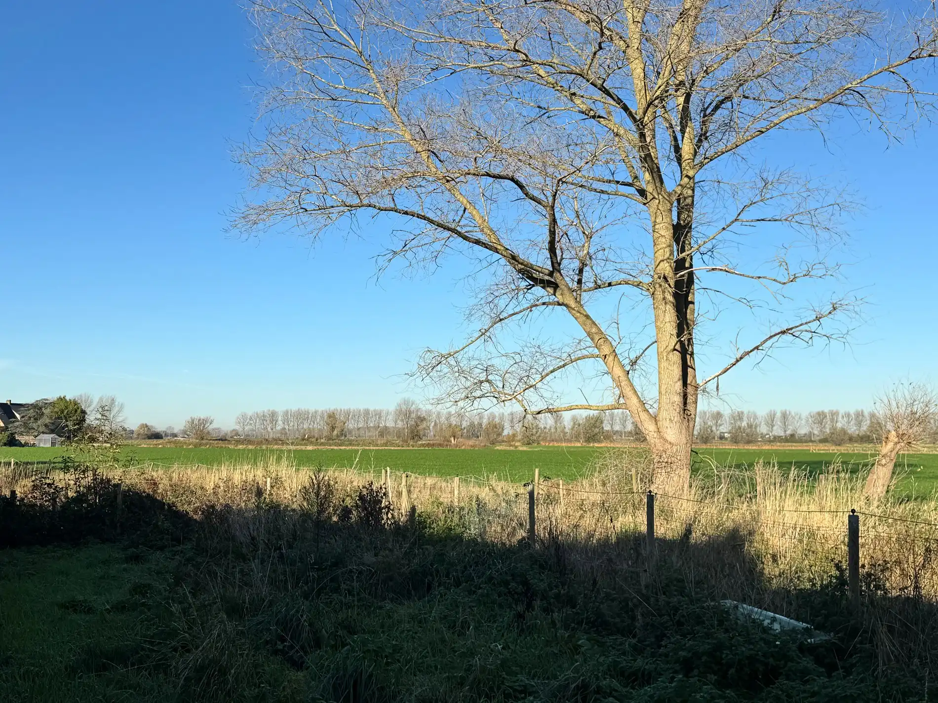 Bouwgrond te koop met uitzonderlijk zicht op de Broucken te Zarren foto 8