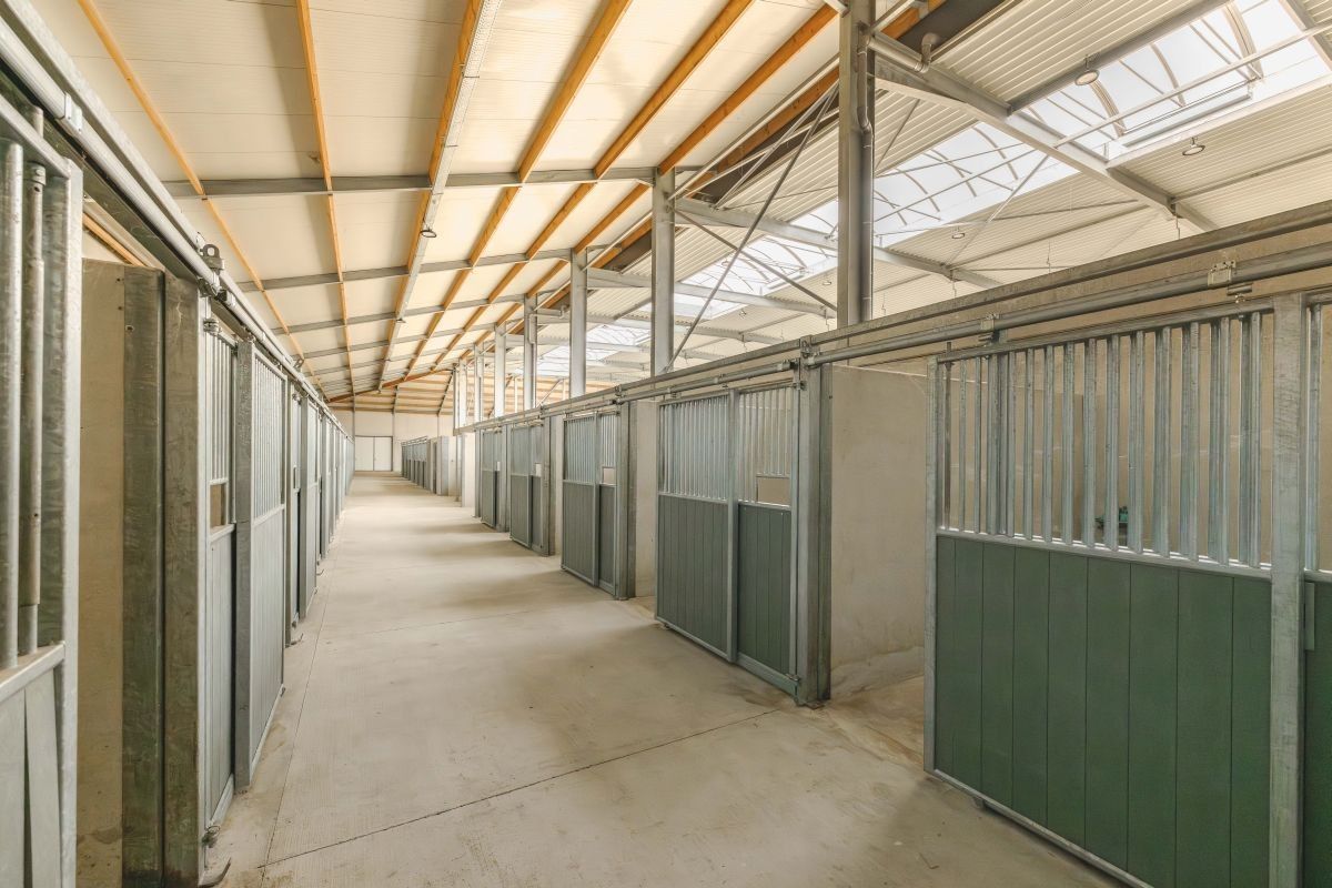 Hippisch complex te koop te Oudenburg dicht bij de kust foto 11