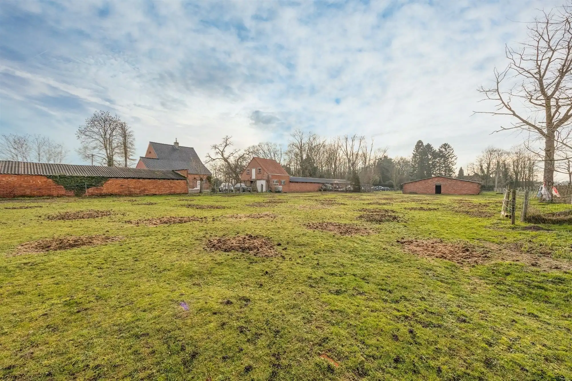 Te renoveren hoeve met enorm veel potentieel foto 31