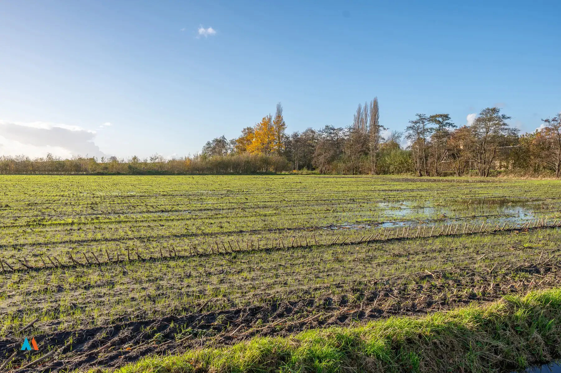 Perceel landbouwgrond foto 2