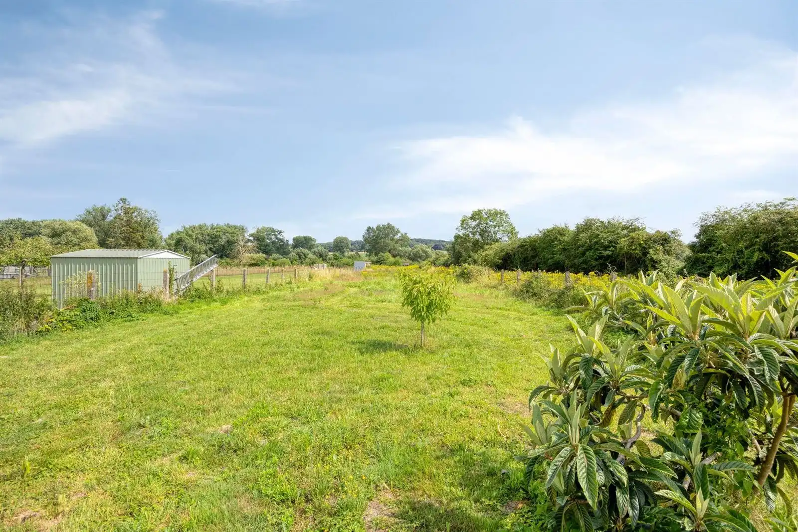 Ruime 3-gevelwoning (EPC B) met garage op 23a 59ca foto 33