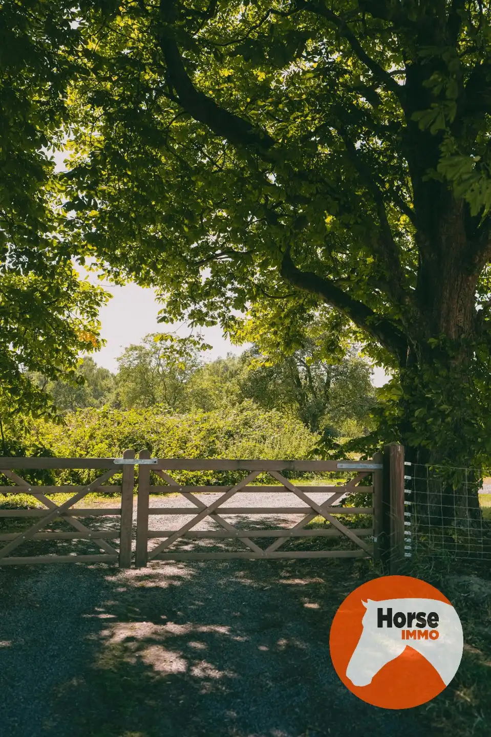 AXEL - Hoeve op een goede locatie met paardenfaciliteiten foto 54