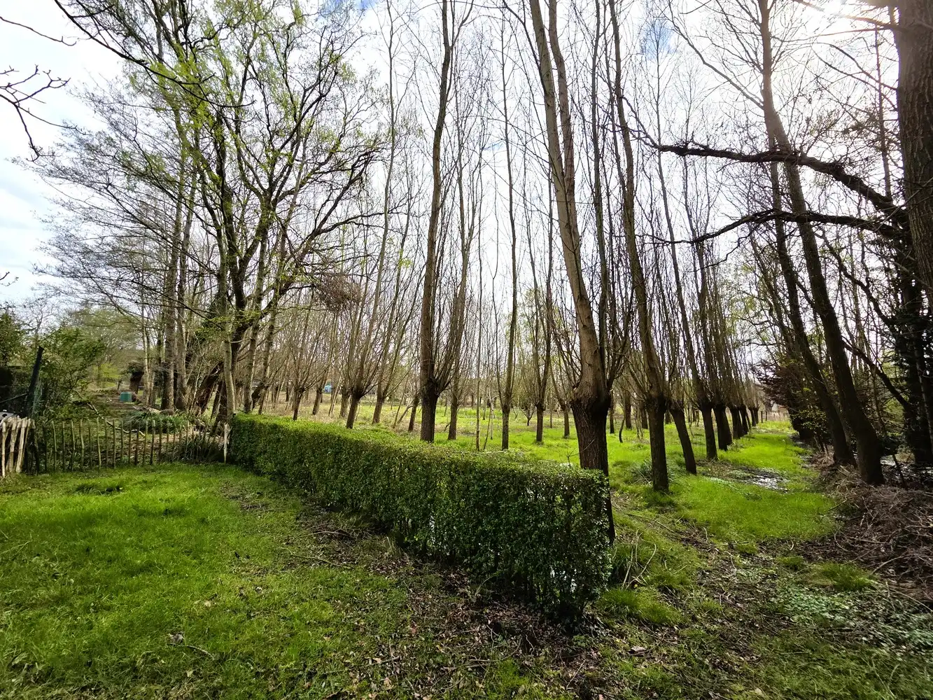 Ruime woning met 3 ruime slaapkamers en bureau, grote zolder en achterliggend weiland foto 3