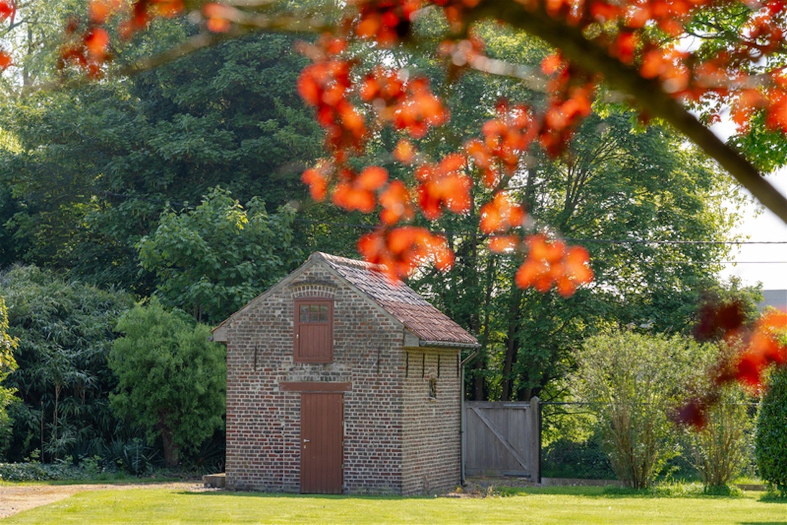 Opportuniteit! Eigendom op 1 Ha met buitengewone privileges foto 18