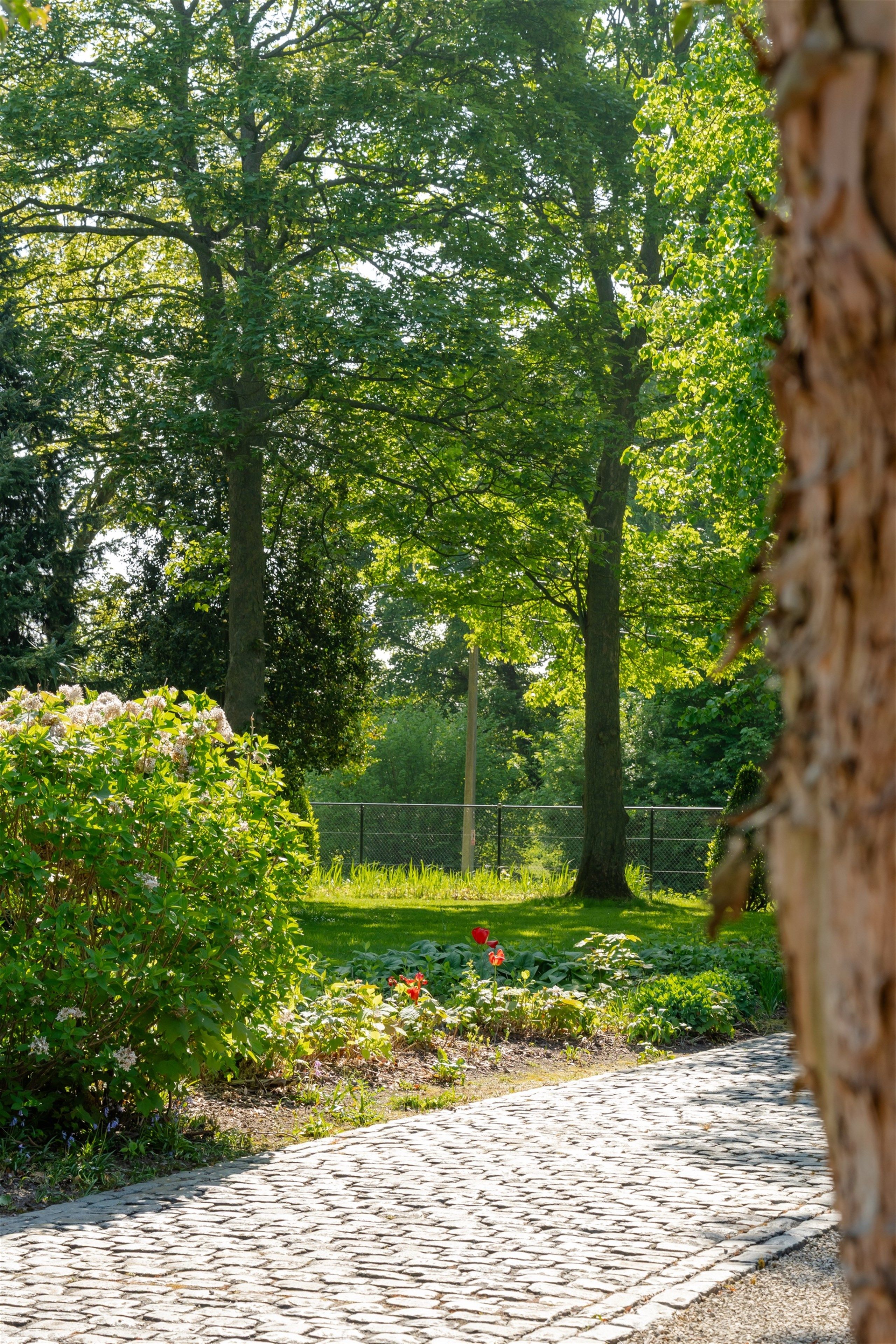 Opportuniteit! Eigendom op 1 Ha met buitengewone privileges foto 18