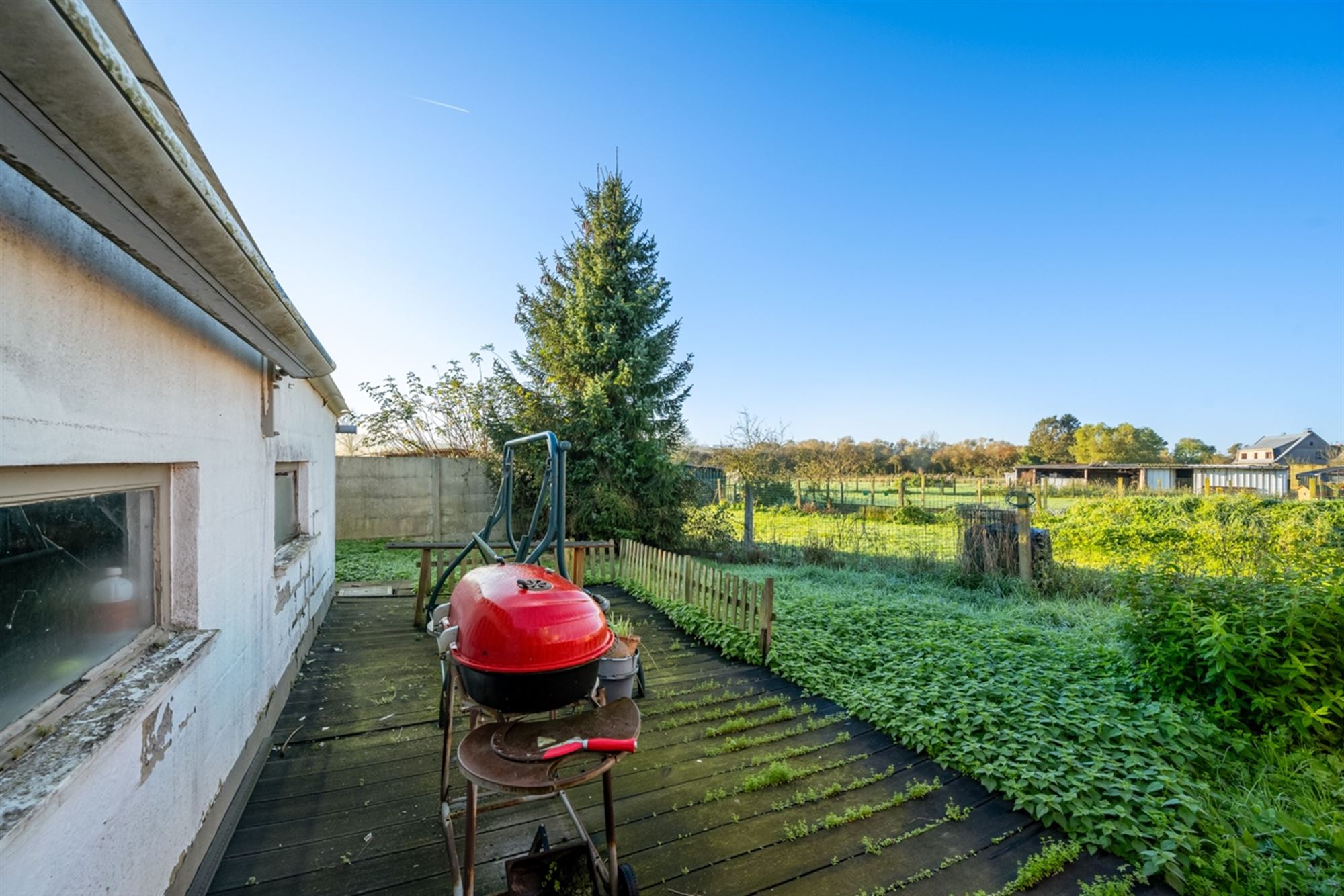 Bungalow met 2 slaapkamers in het landelijke Denderwindeke foto 20