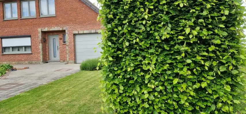 Mooi BOUWPERCEEL, open beb. op  19 are 36 ca. Straatbreedte: 25 meter foto 12