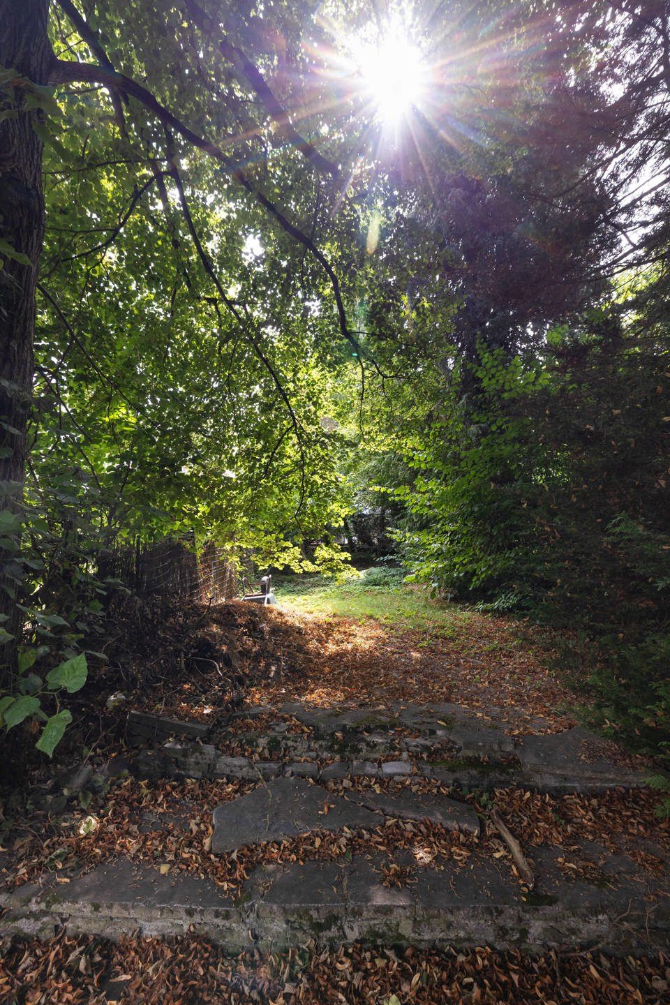 Villa met 4 slaapkamers in Ukkel foto 14