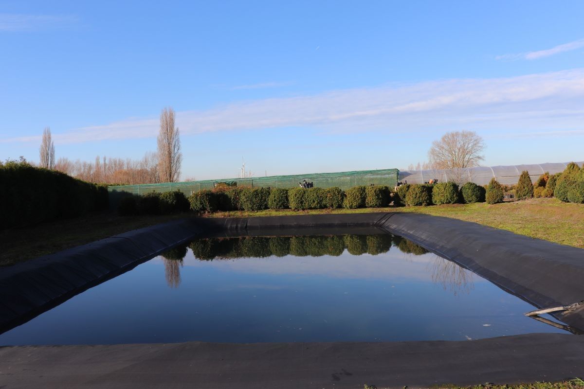 Plantenkwekerij te koop te Zwevegem foto 9