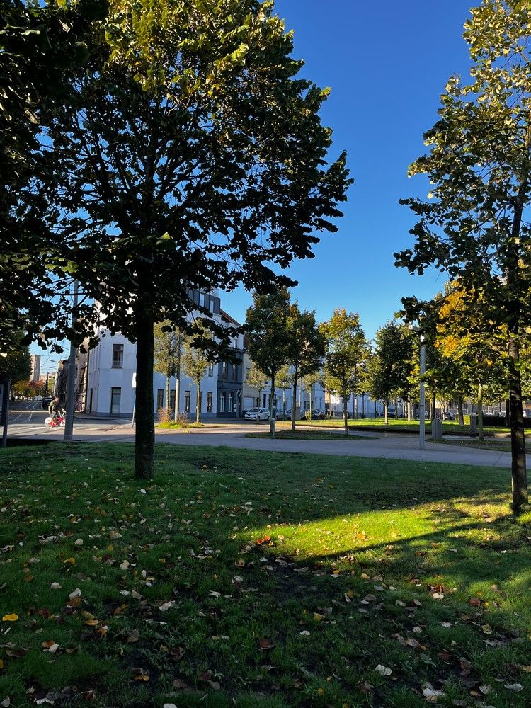 VERGUND STUDENTENCOMPLEX MET PARKINGS - 4,71 % NETTO RENDEMENT foto 30