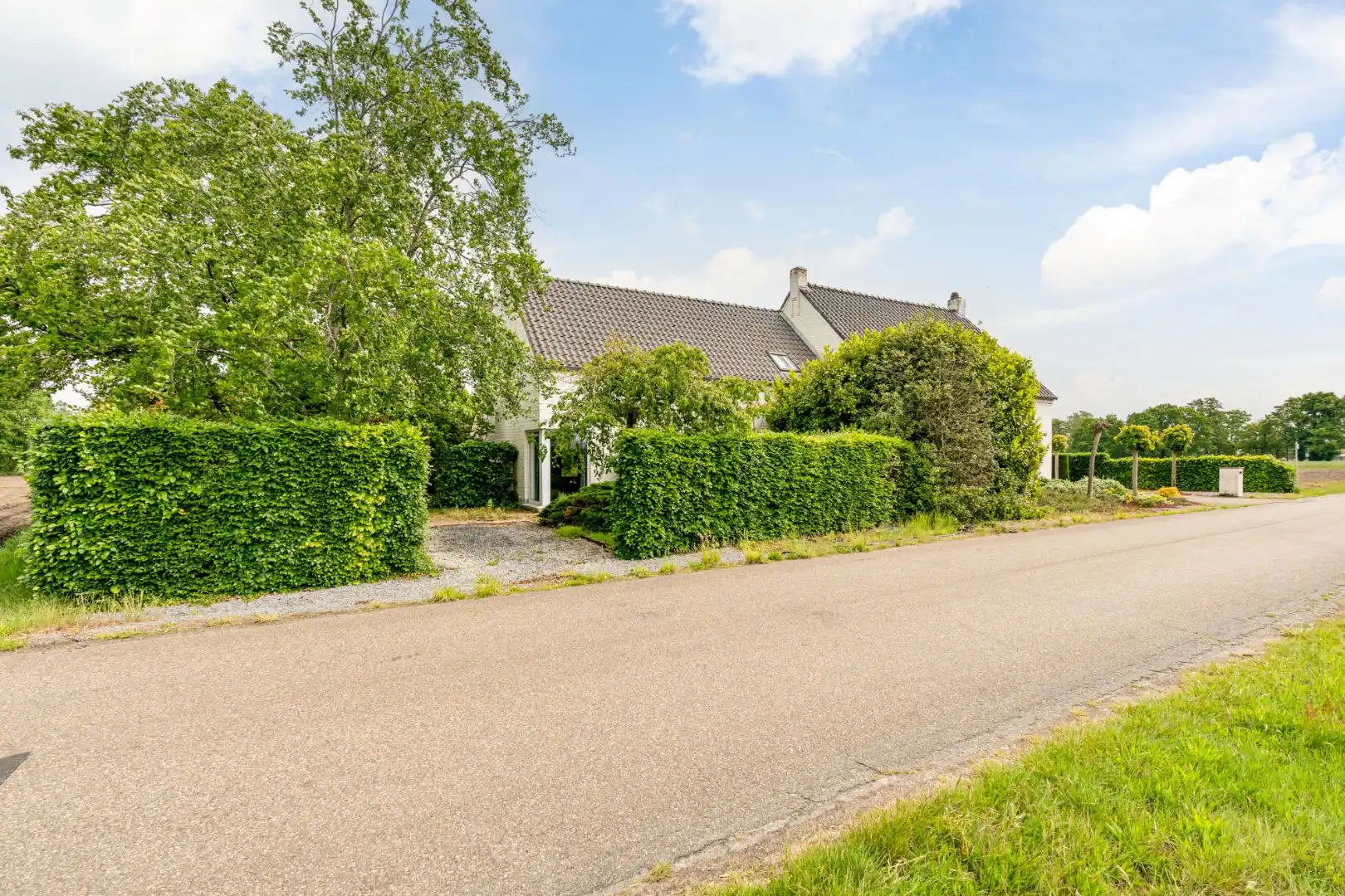 Ruime, zeer rustig gelegen woning op een perceel 29a90ca te Molenbeersel - een deelgemeente van Kinrooi!  foto 2