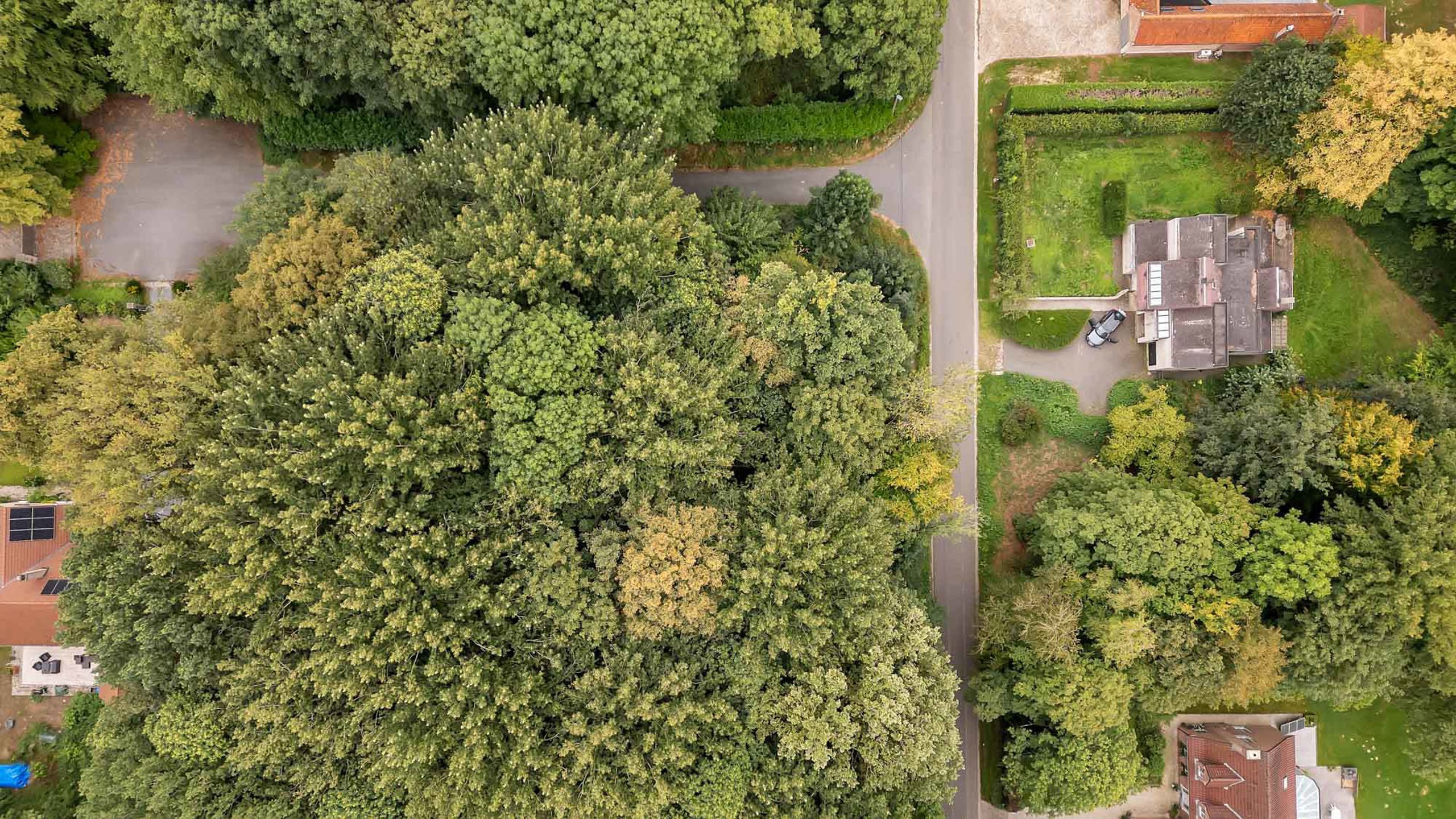 Exclusieve bouwgrond te koop in Lettelingen!  foto 4