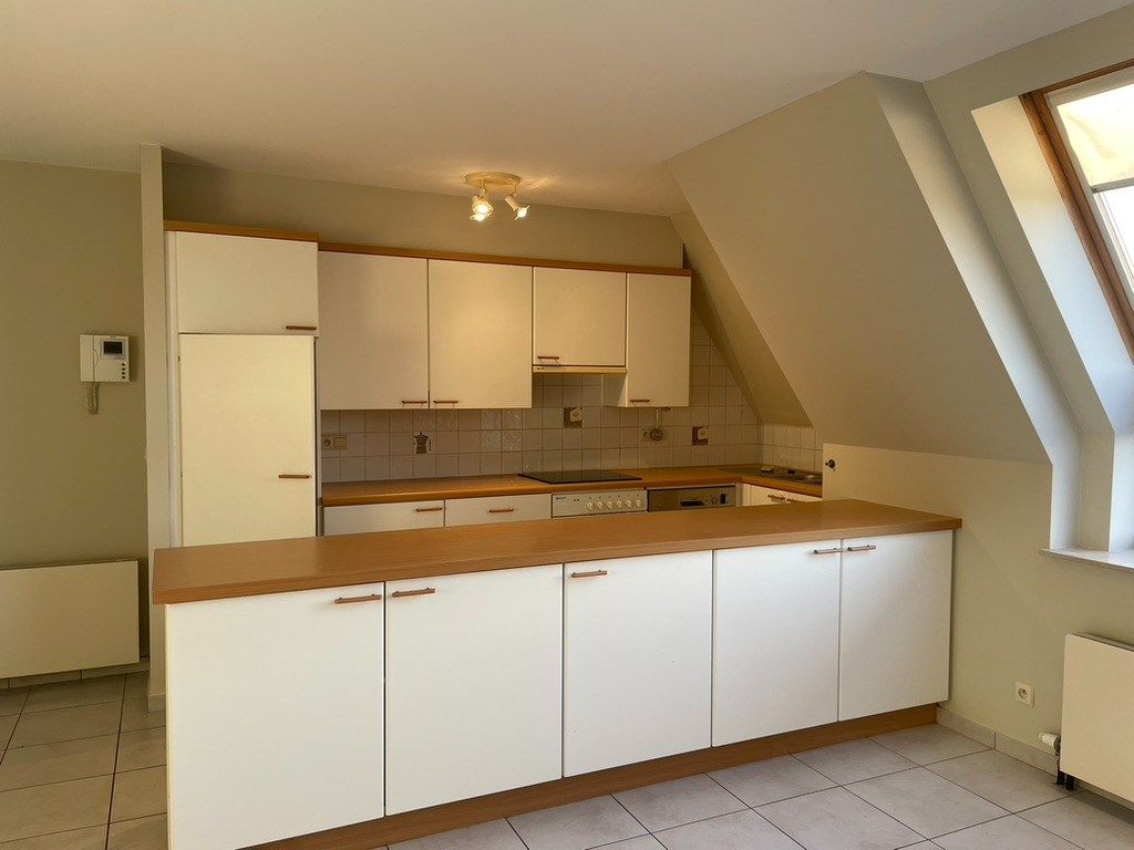 2 slaapkamerappartement in centrum Halle foto 4