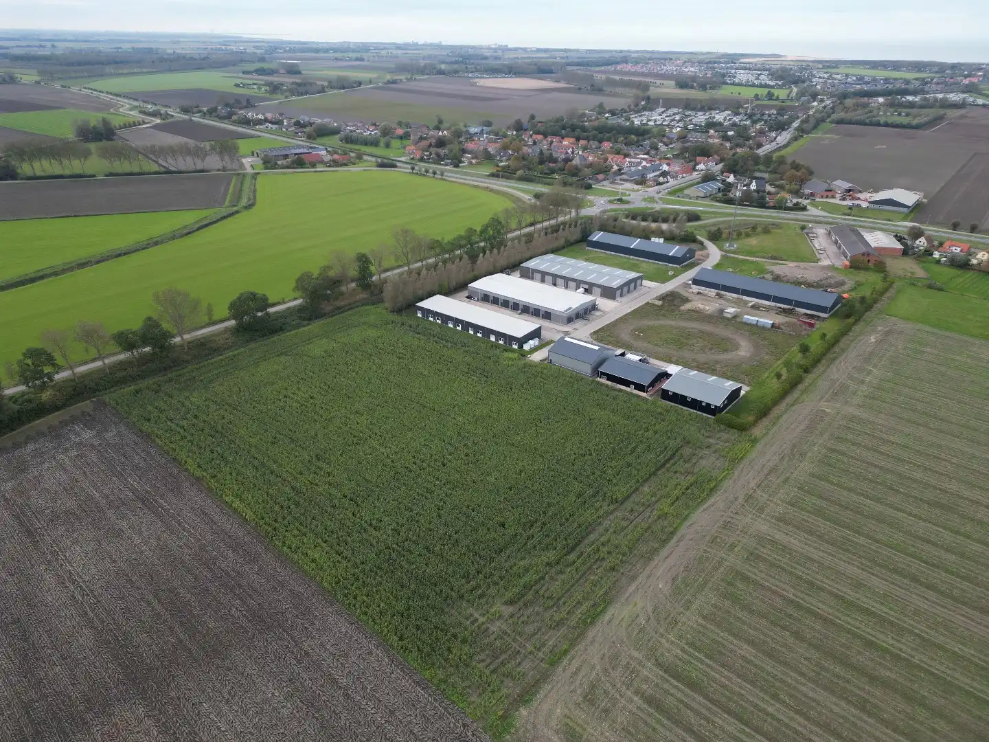 Transitoweg Fase 2 kavels 2.599 m² foto 2