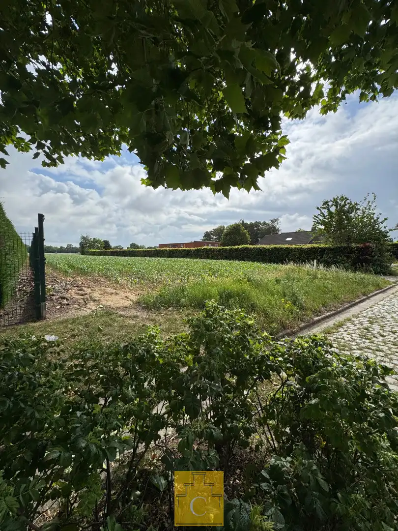 Ruime bouwgrond met achterliggend landbouwperceel op een totale oppervlakte van ca. 1.863 m² foto 2