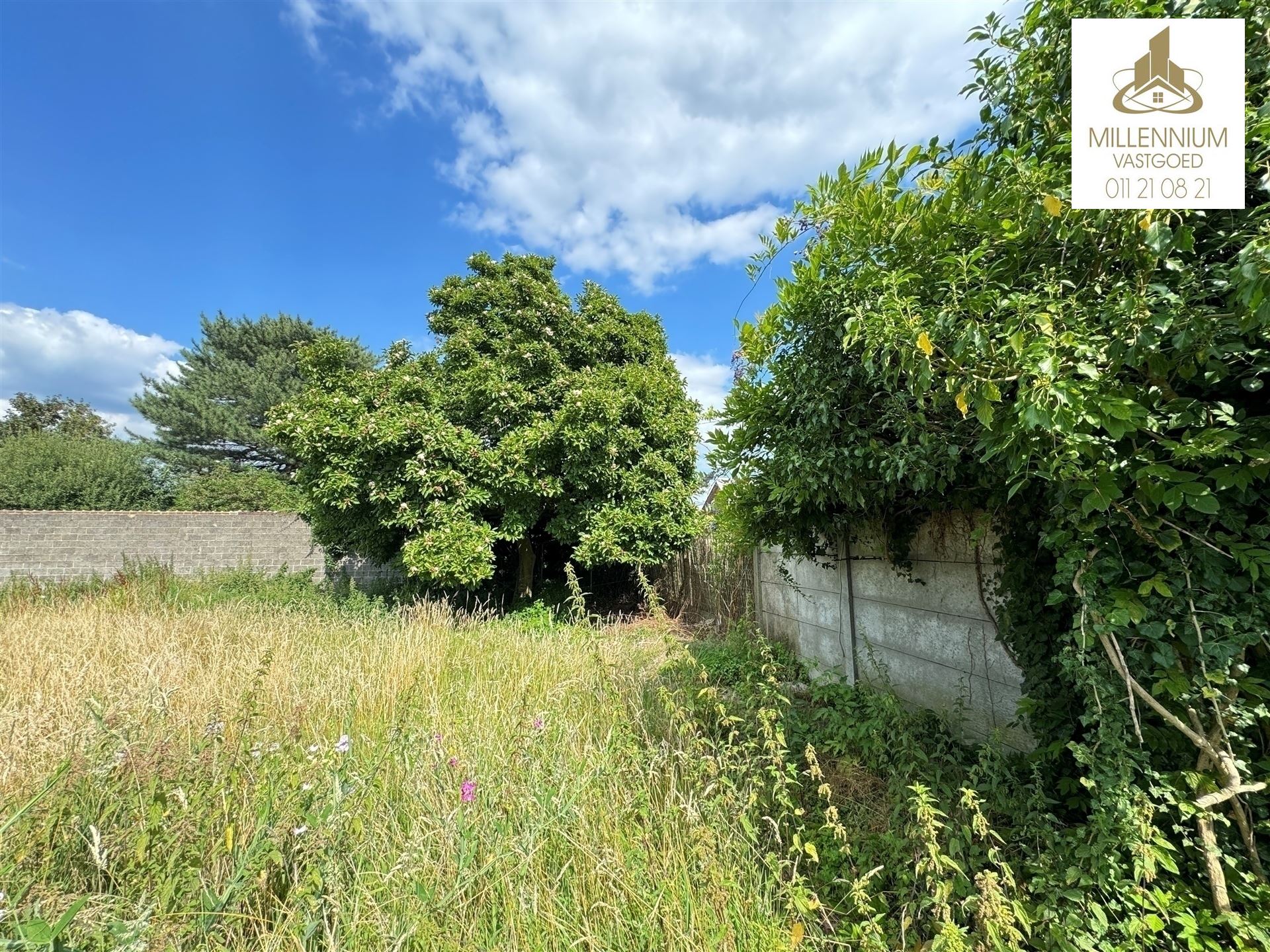Ruime 5-Slaapkamerwoning te Bilzen 10a 13ca foto 25
